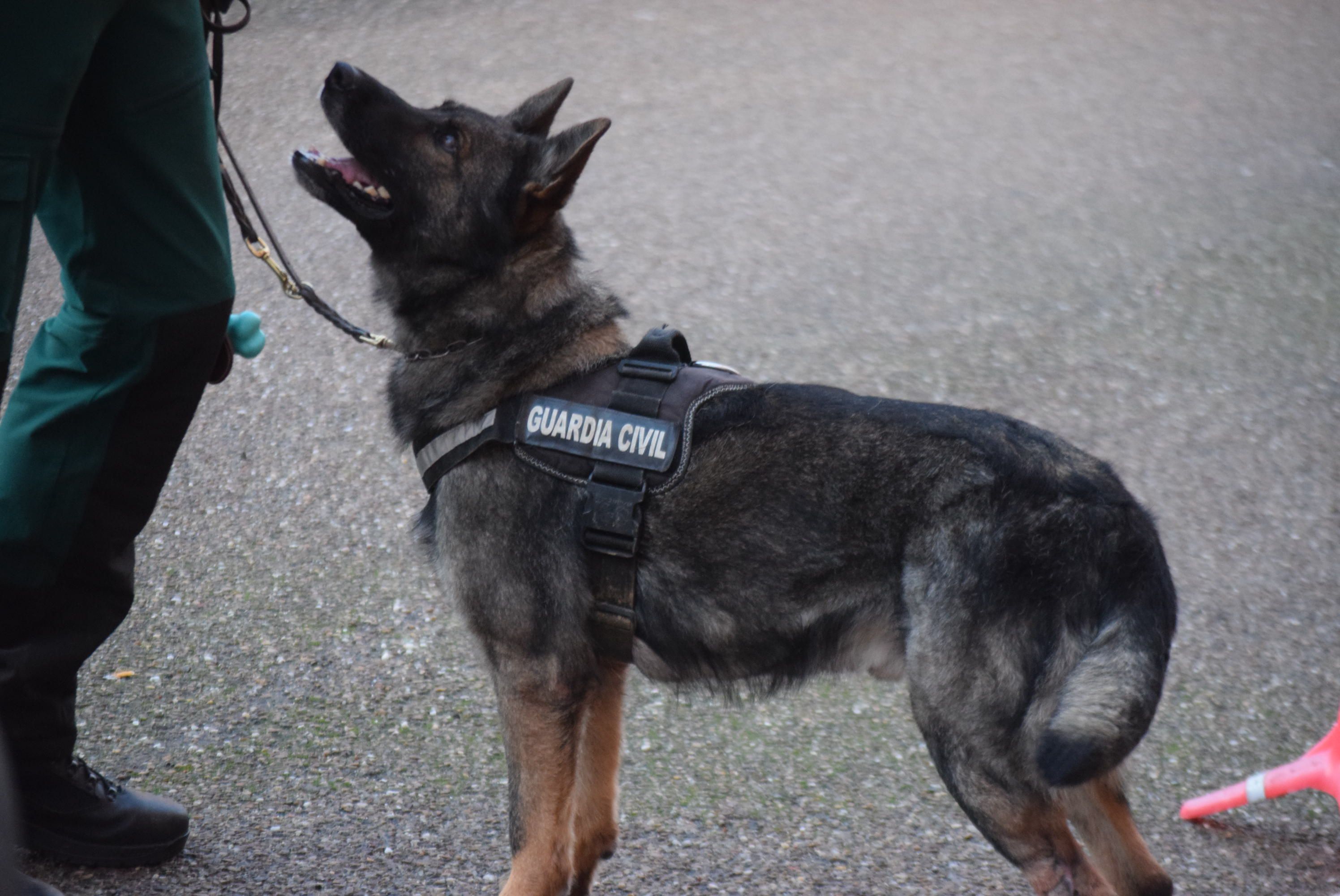 Acto Guardia Civil Día de San Antón (10)