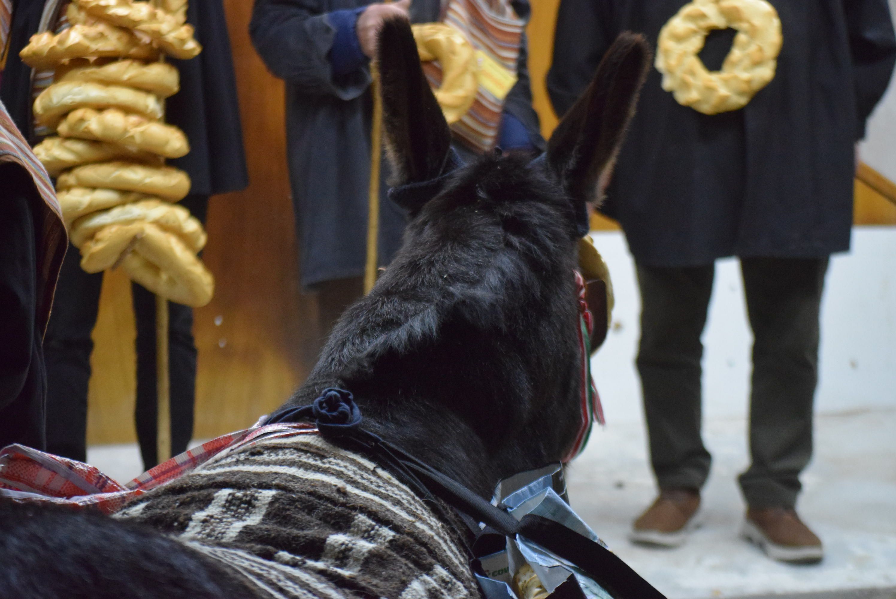 La Cofradía del Cencerro celebra San Antón