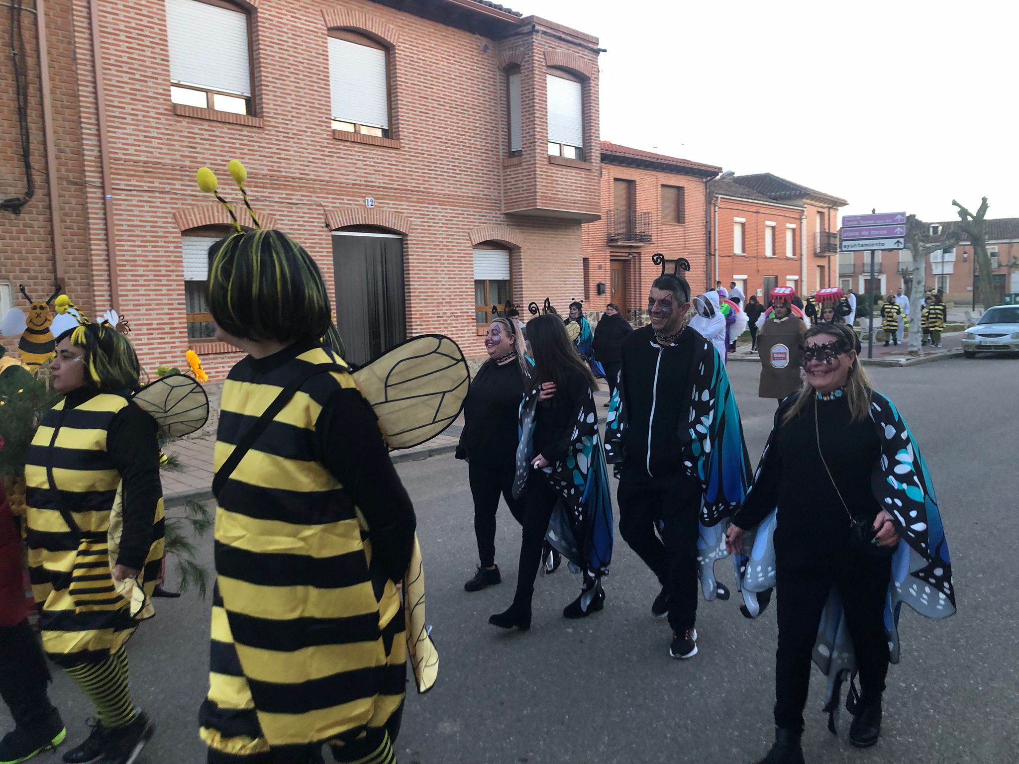Villanueva del Campo celebra sus Carnavales (1)