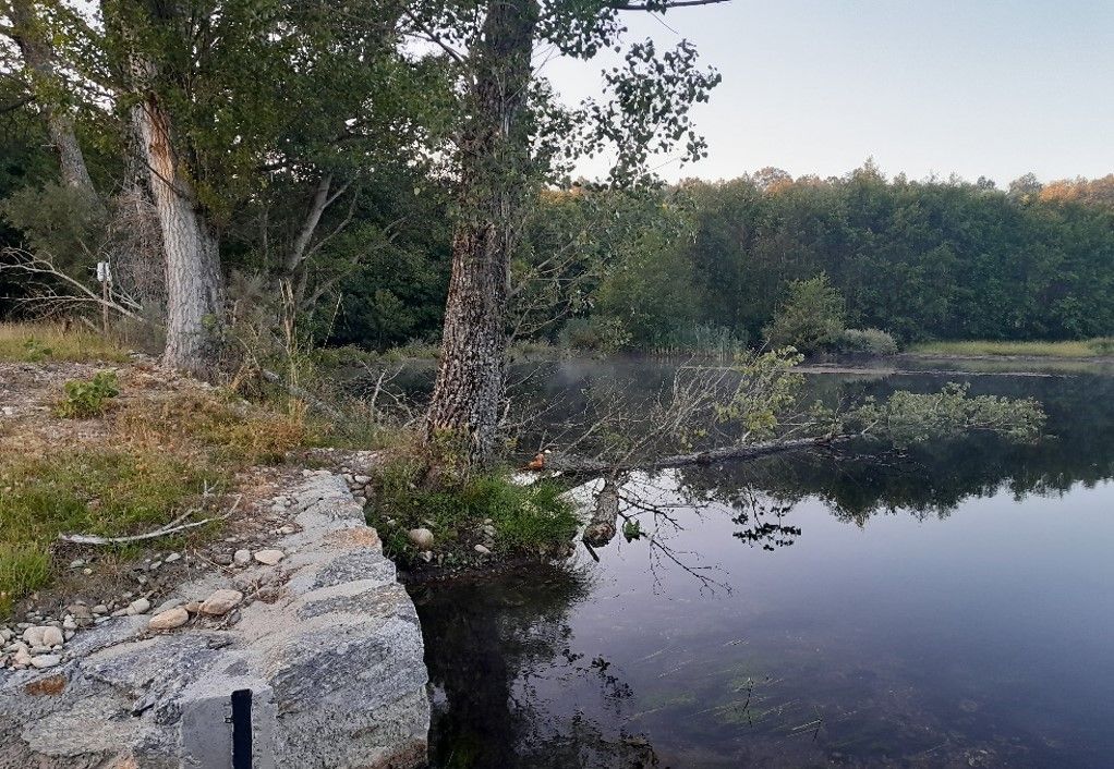 Río Castrón a su paso por Cobreros. Foto: Confederación Hidrográfica del Duero.