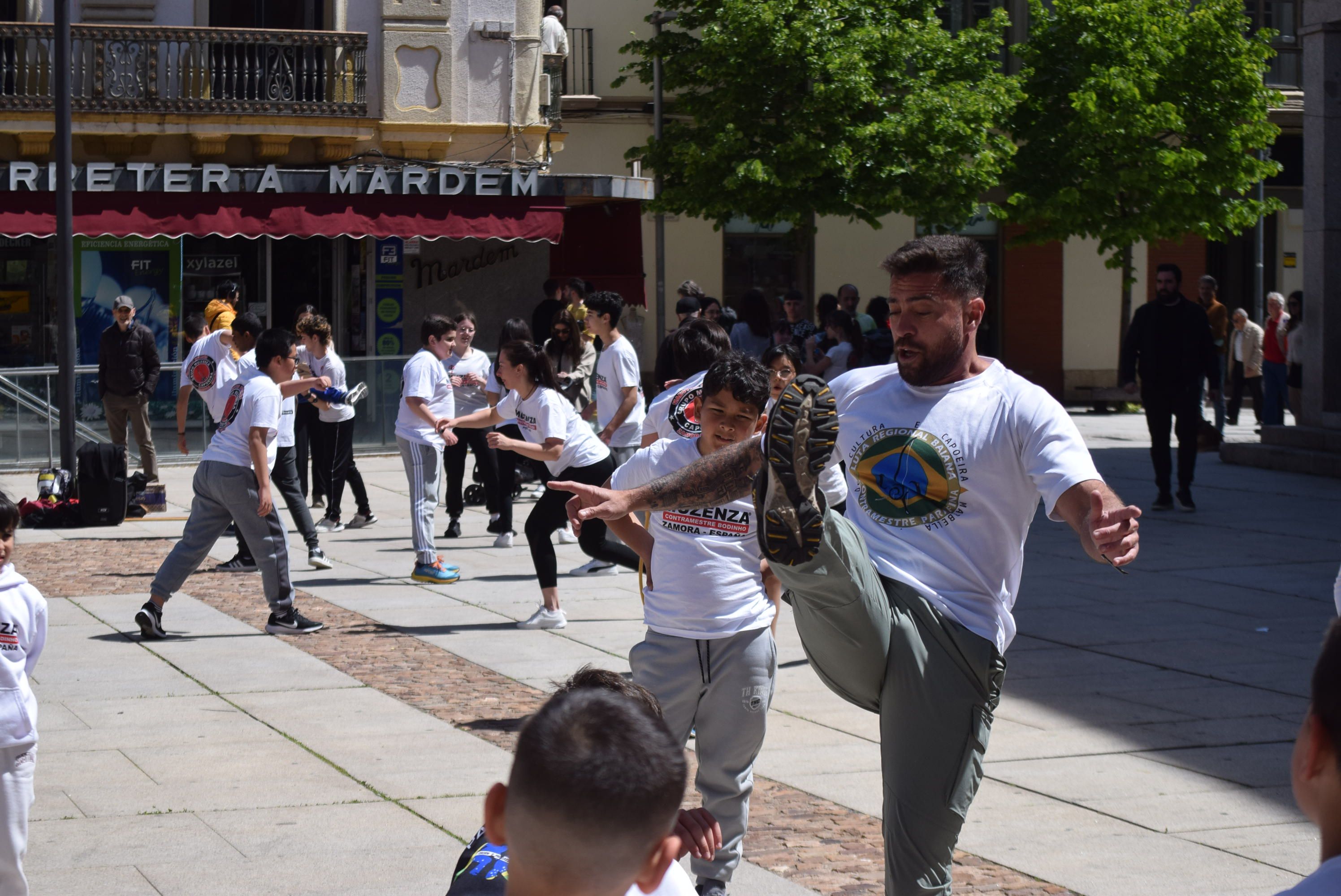 Masterclass de capoeira