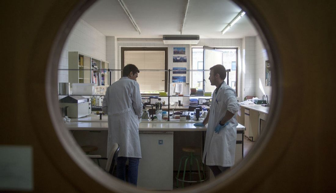 Laboratorio, universidad, investigadores. Archivo.