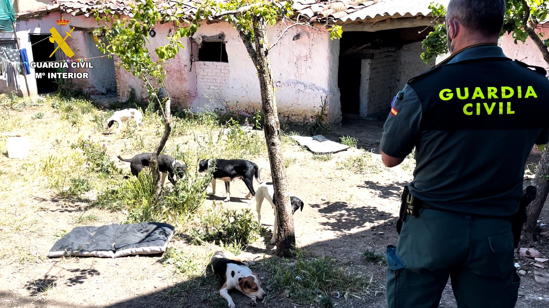 Operación contra una pseudo protectora