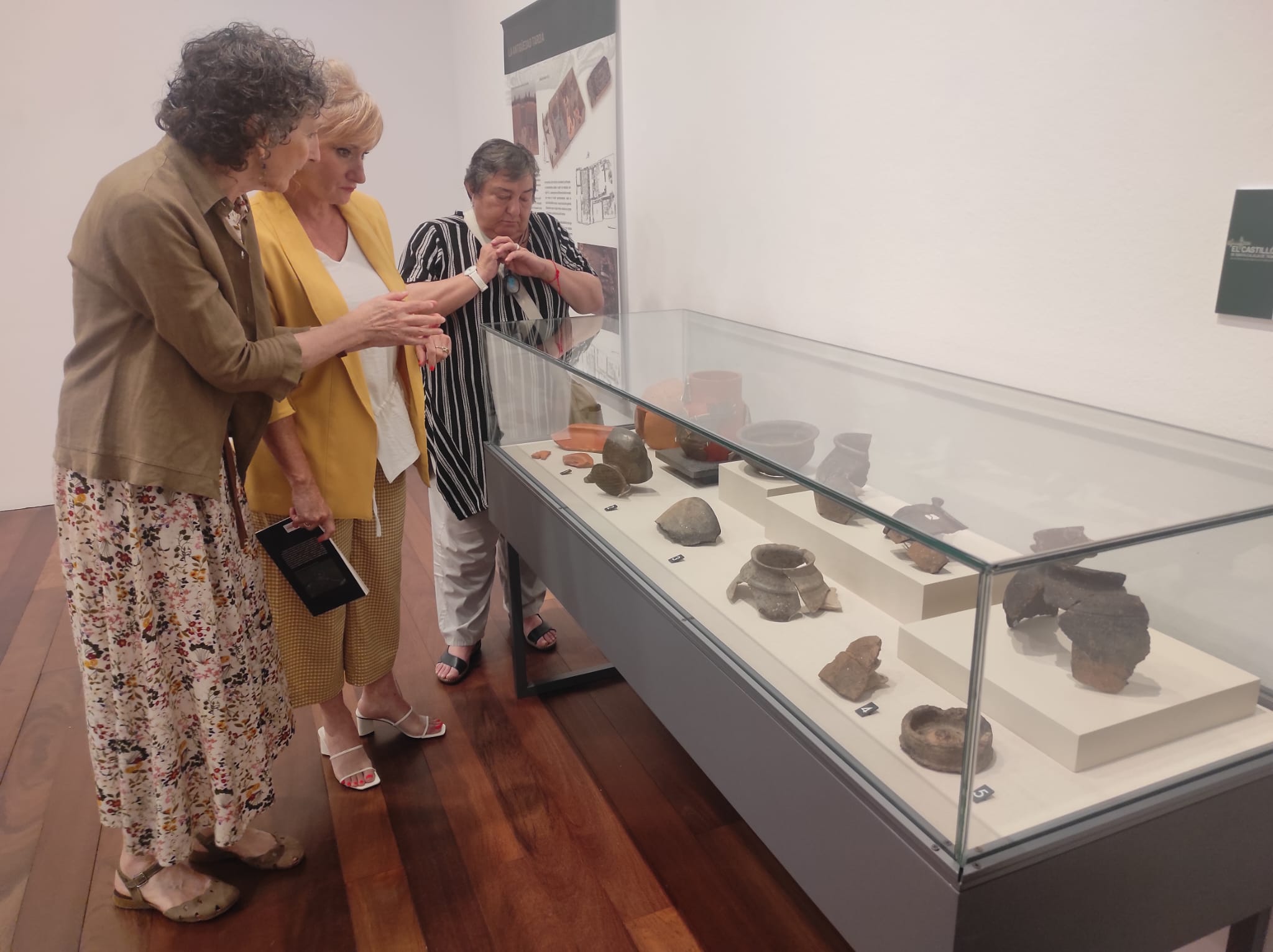 Exposición "El Castillón de Santa Eulalia de Tábara. Un enclave arqueológico en el valle del Esla”