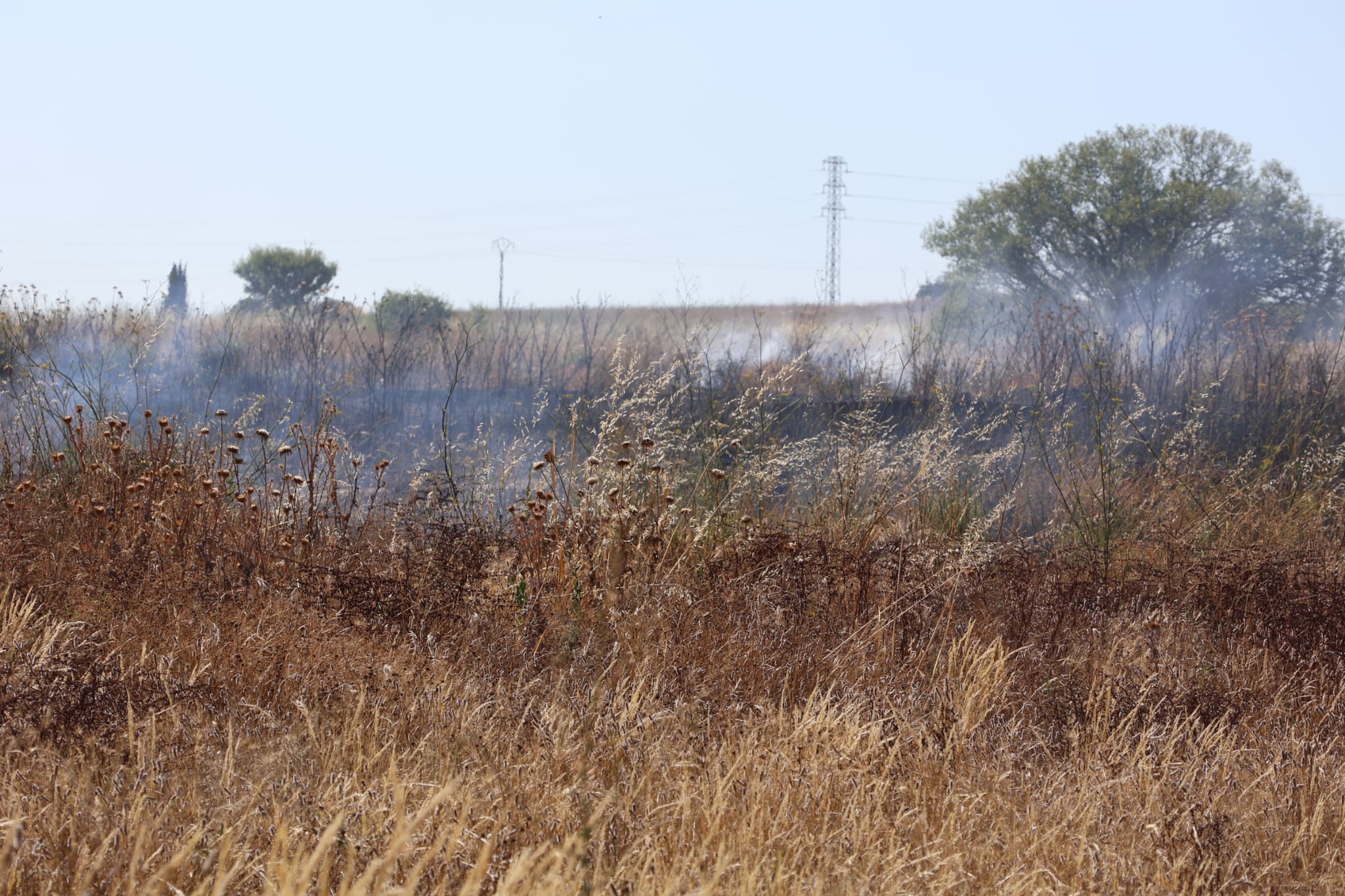 Incendio en el Alto de Valorio. Foto: Gonzalo Rodríguez