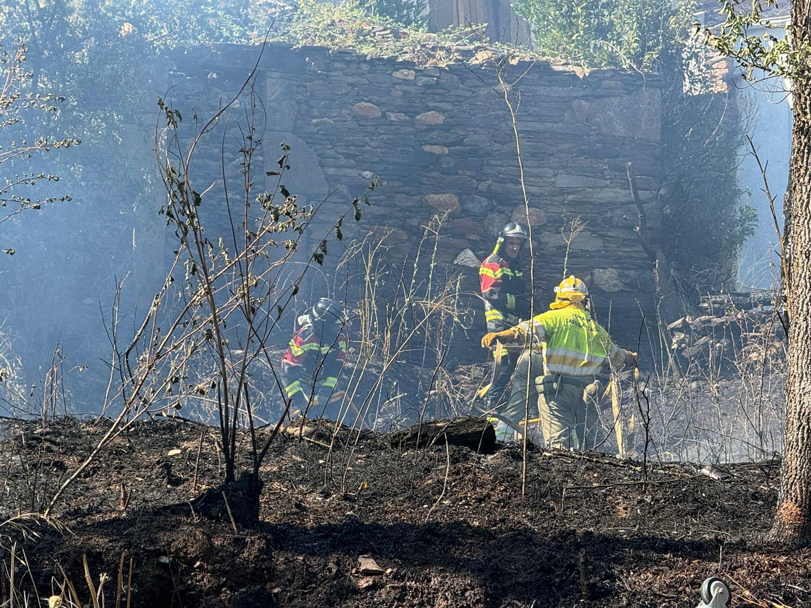 Incendio forestal en la provincia de Zamora. Archivo