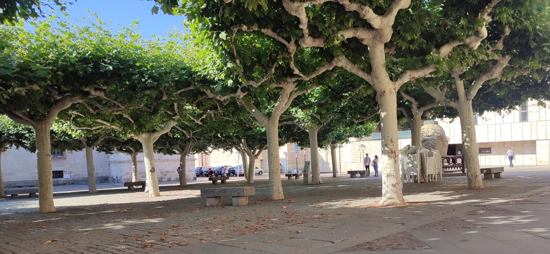 El tiempo. Sol, cielo despejado en la Plaza de Viriato