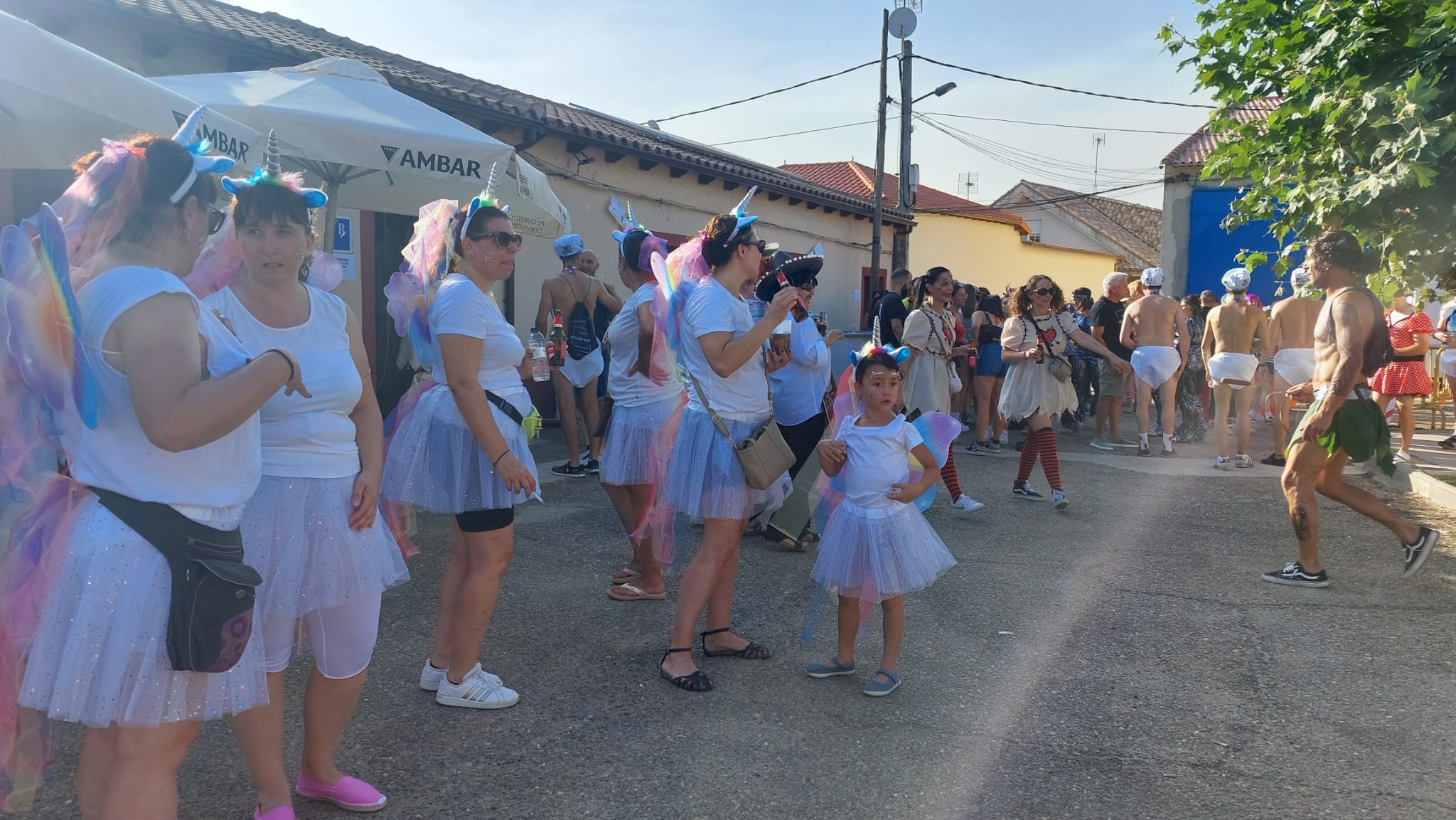 Desfile de disfraces de Melgar de Tera