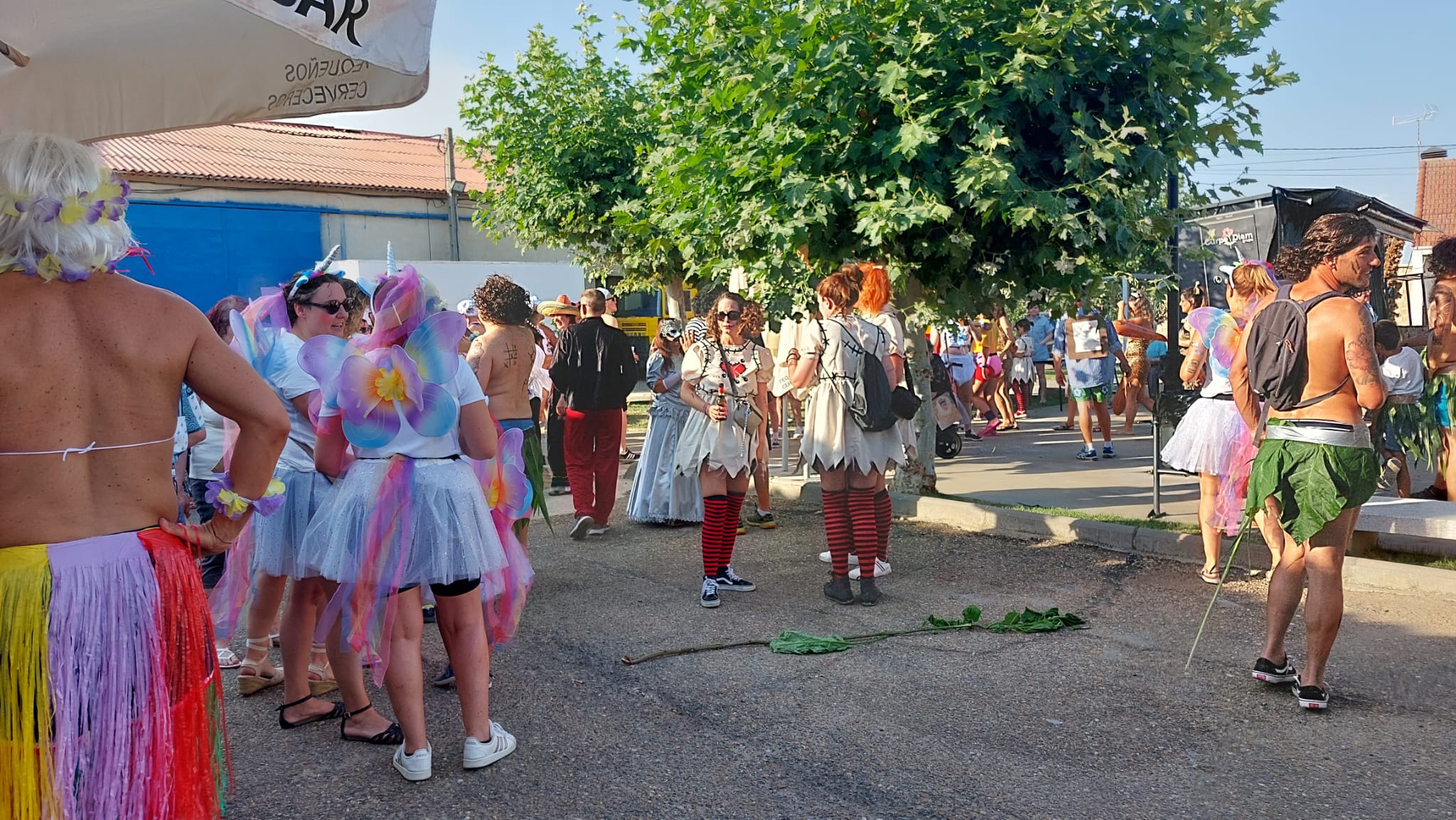 Desfile de disfraces de Melgar de Tera