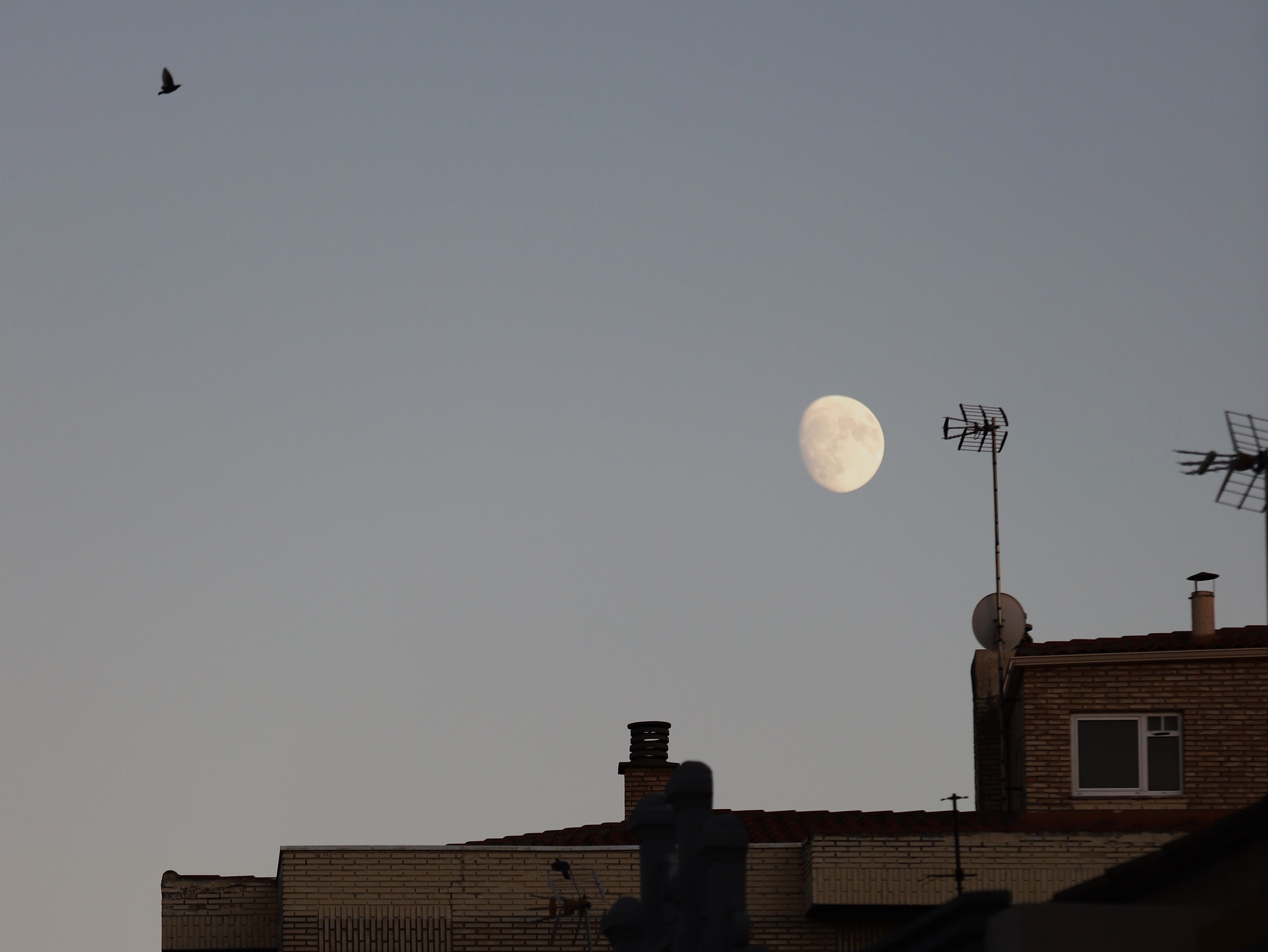 Luna sobre el cielo de Zamora Foto María Lorenzo