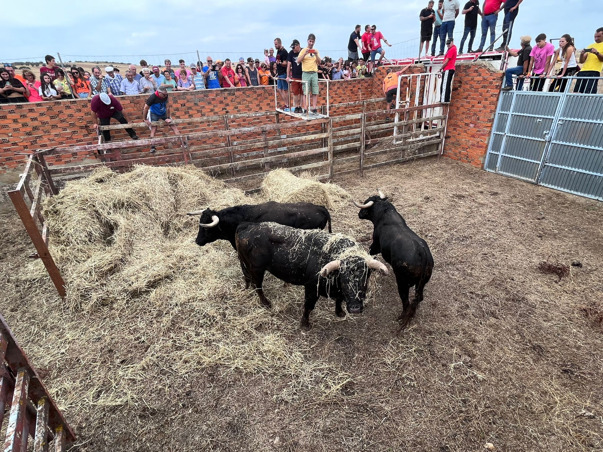 Imagen de las fiestas en años anteriores