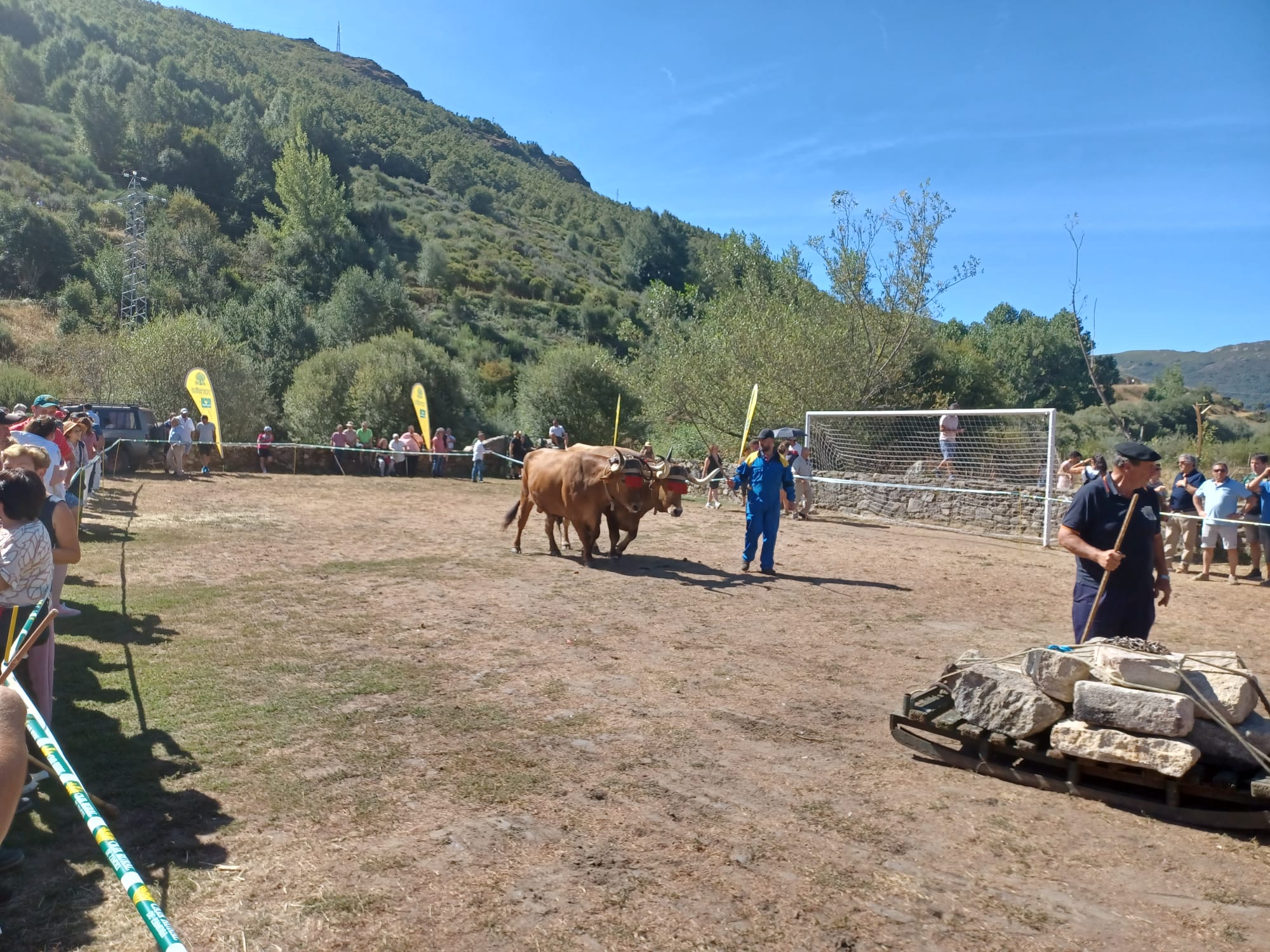 Concurso Morfológico de la Raza Alistana-Sanabresa en Porto