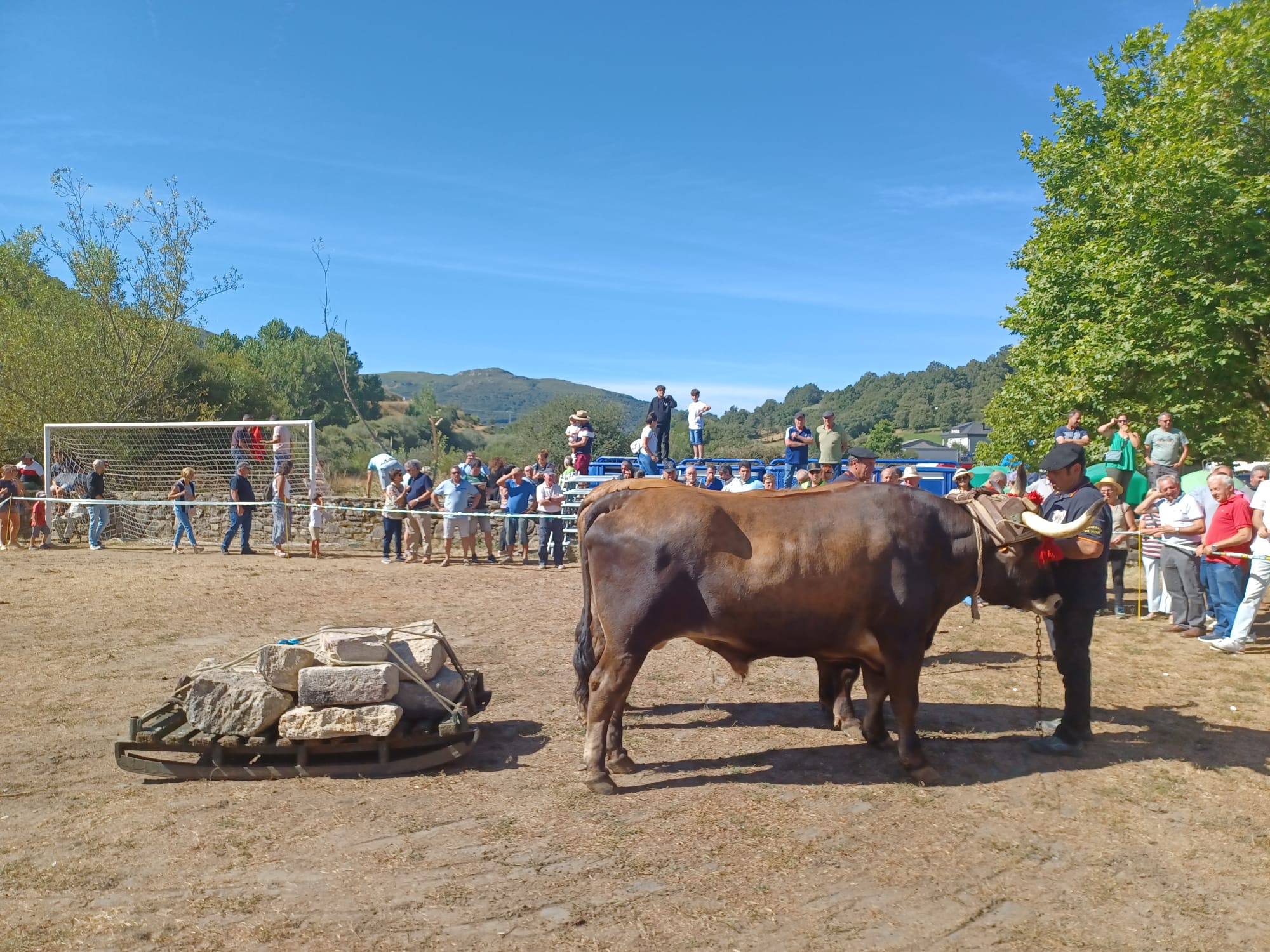 Concurso Morfológico de la Raza Alistana-Sanabresa en Porto