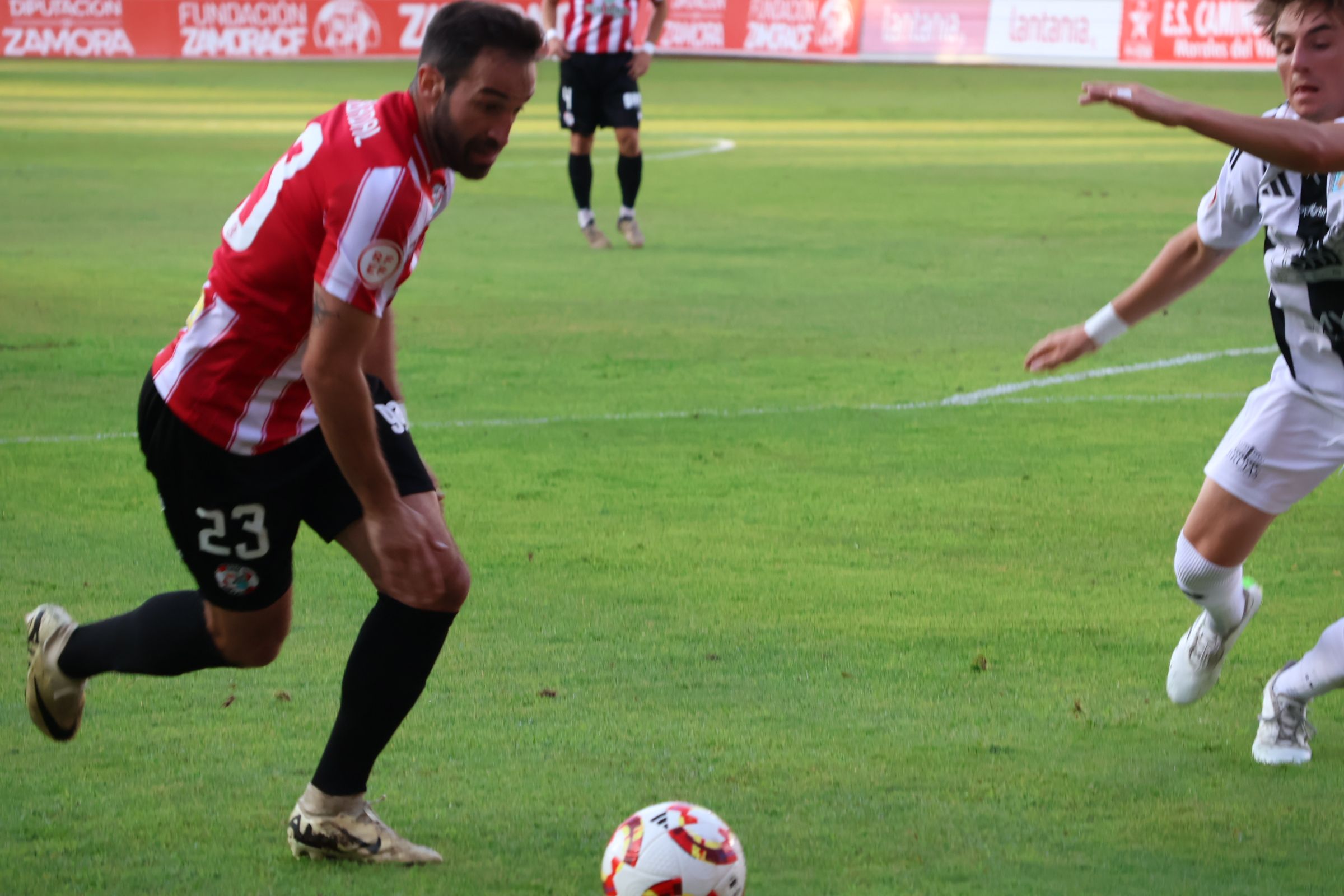 Zamora CF   SD Tarazona (7)