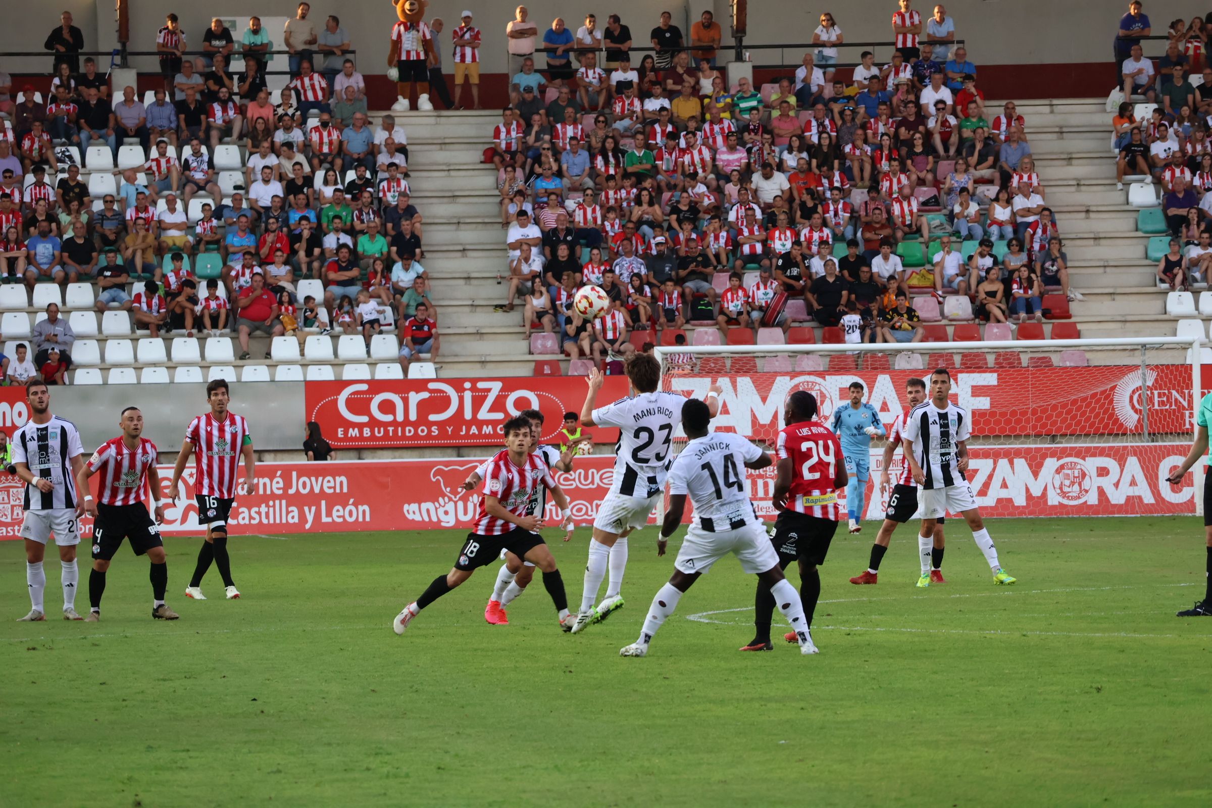 Zamora CF   SD Tarazona (49)