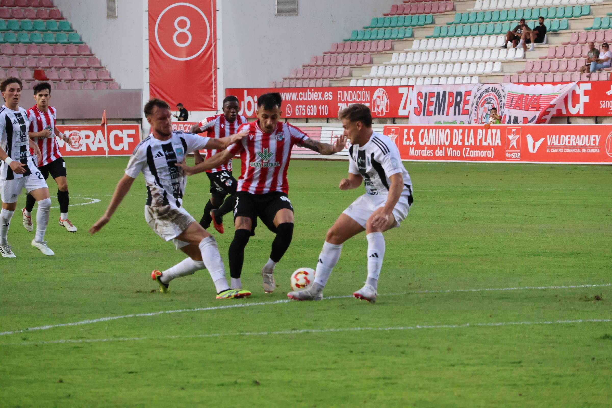 Zamora CF   SD Tarazona (75)