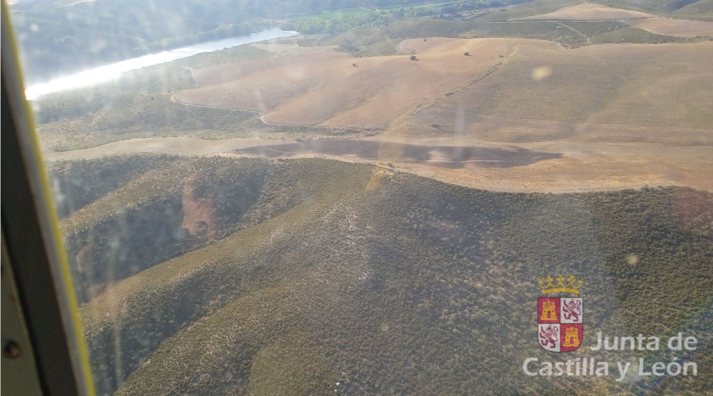 Incendio forestal declarado esta tarde en Zamora