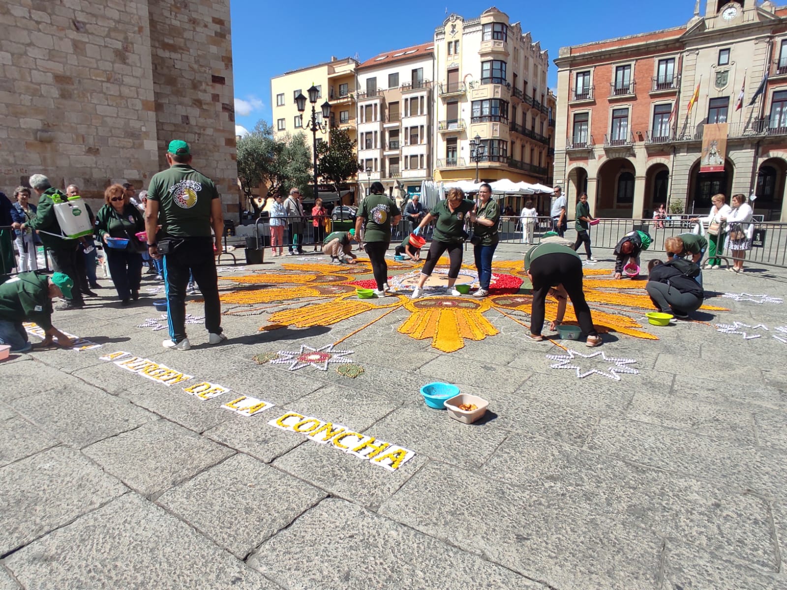 Alfombra floral a la Virgen de la Concha 2024