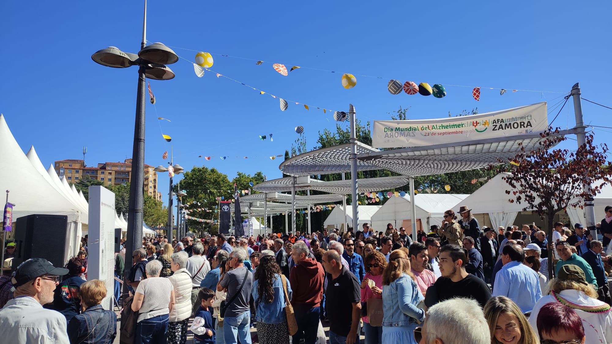 Los campaneros zamoranos muestran la tradición en Fromago