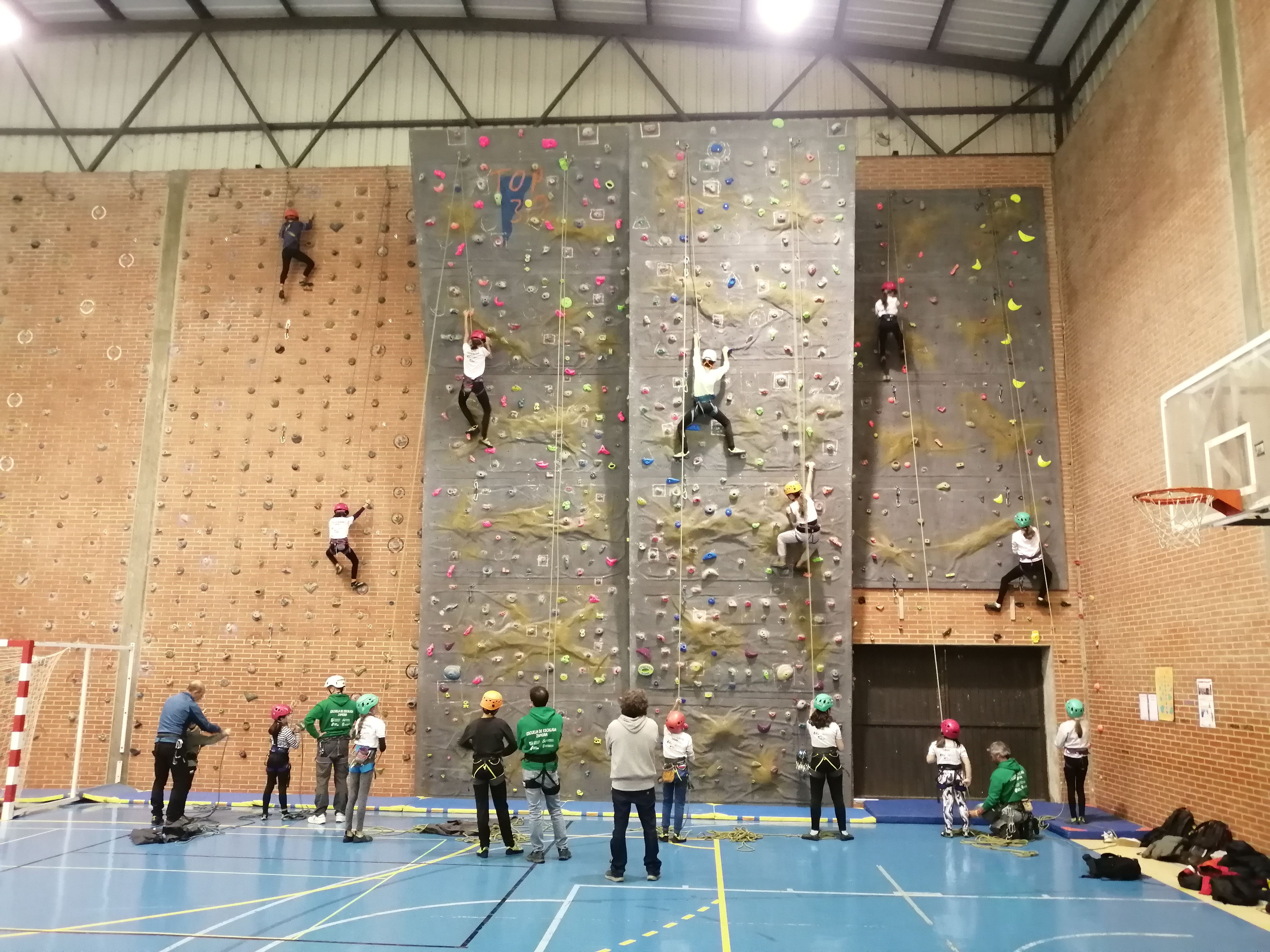 Actividad en el rocódromo del Club Deportivo Cimas Zamora 