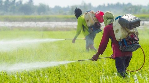 Glifosato, el herbicida de la polémica