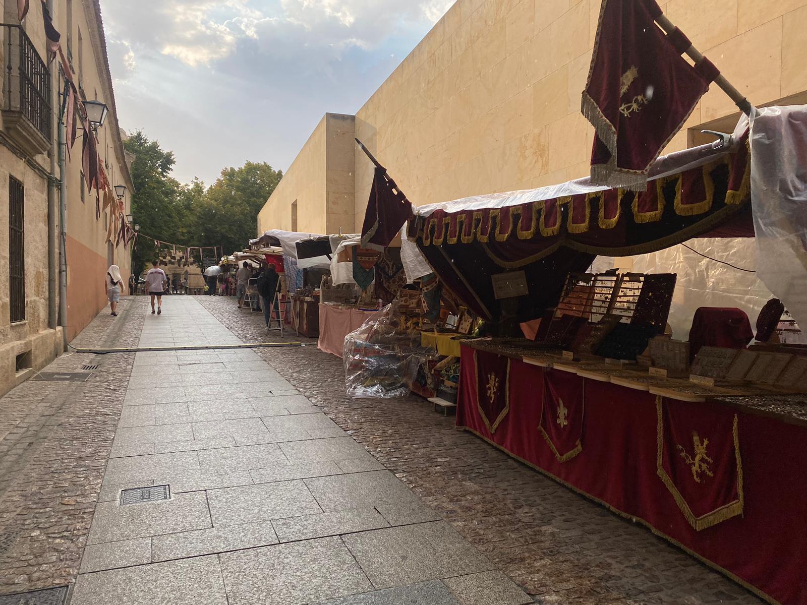 Cielos nubosos y lluvia en Zamora