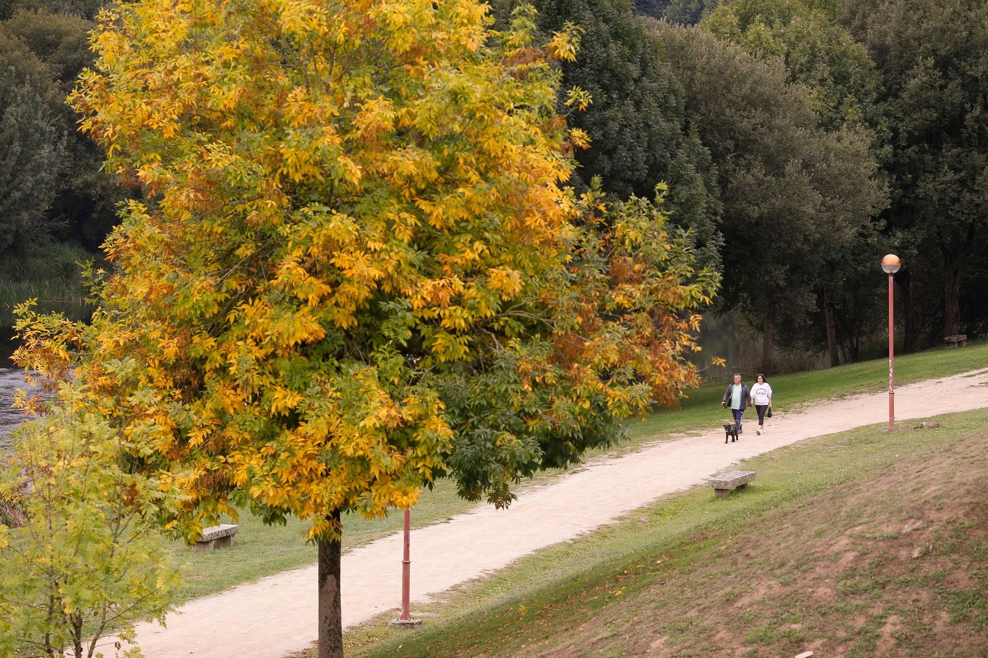 Otoño de 2024