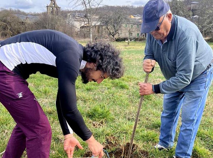 Criosanabria trabaja en la reforestación de olmos en la zona