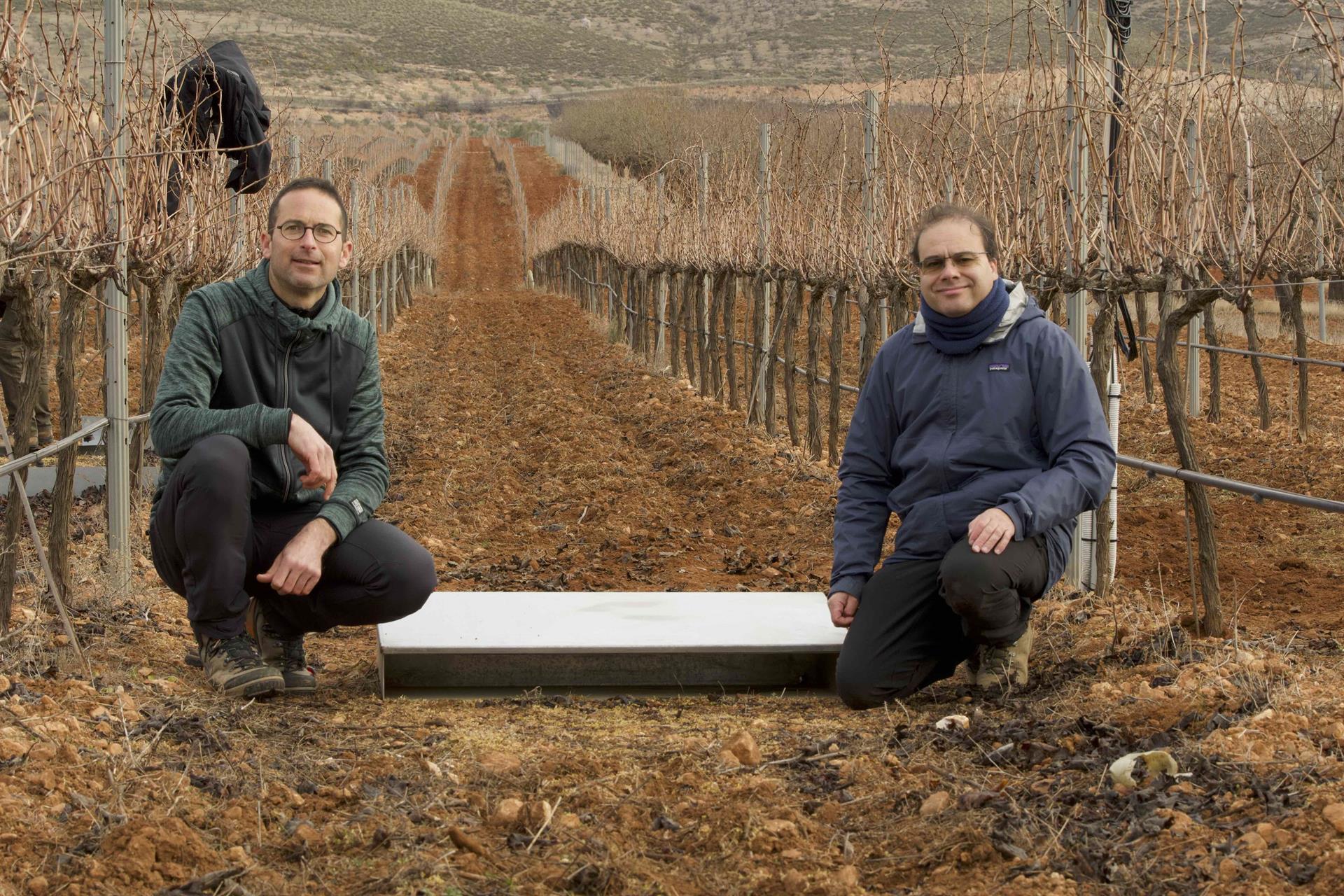 Científicos aportan nuevas claves para optimizar los flujos de agua en suelos agrícolas