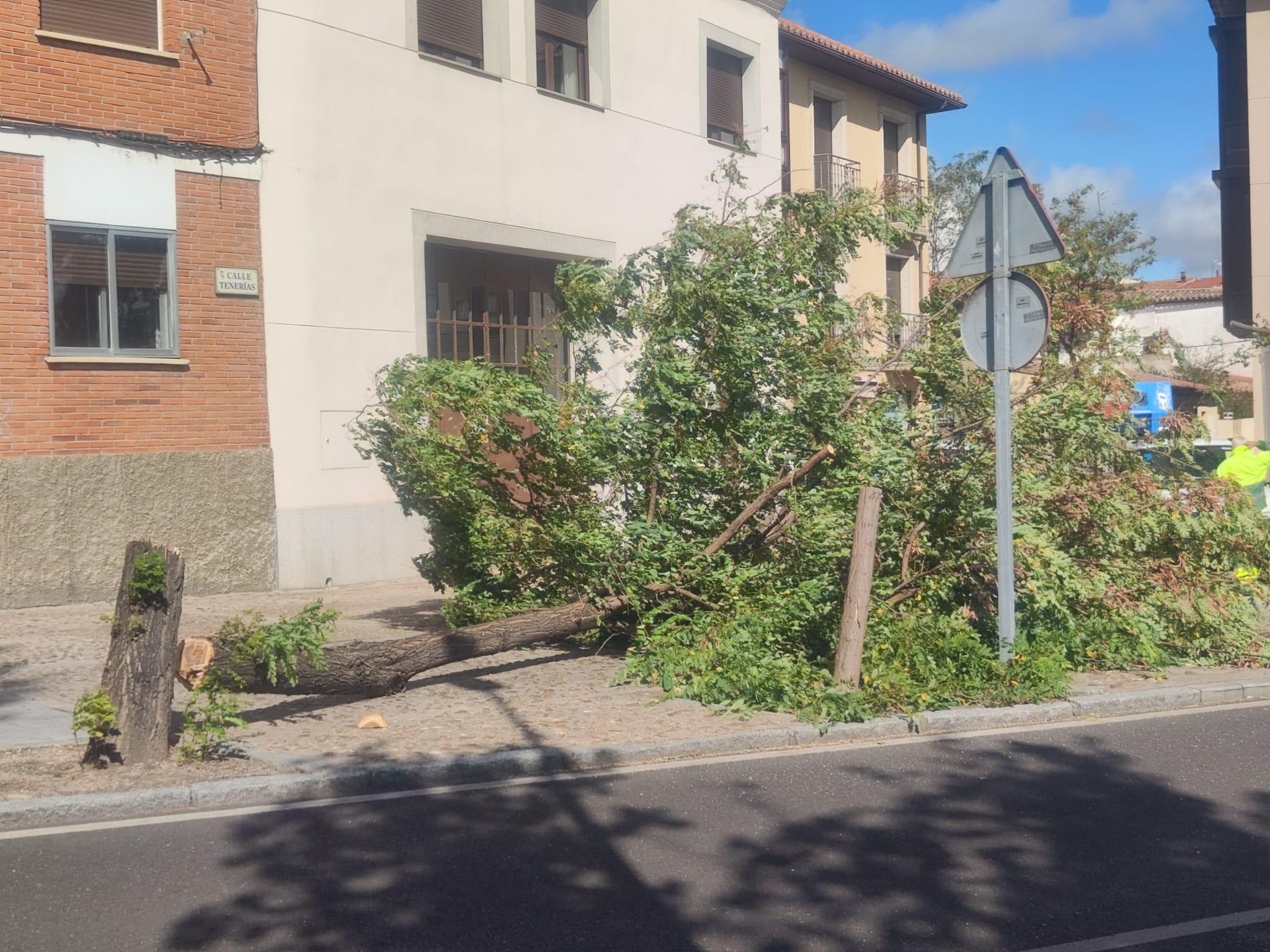 Efectos del temporal Kirk en Zamora