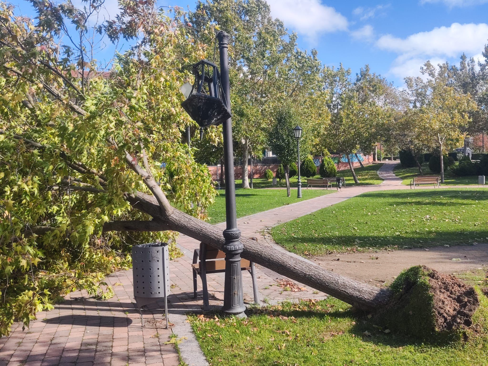 Efectos del temporal Kirk en Zamora