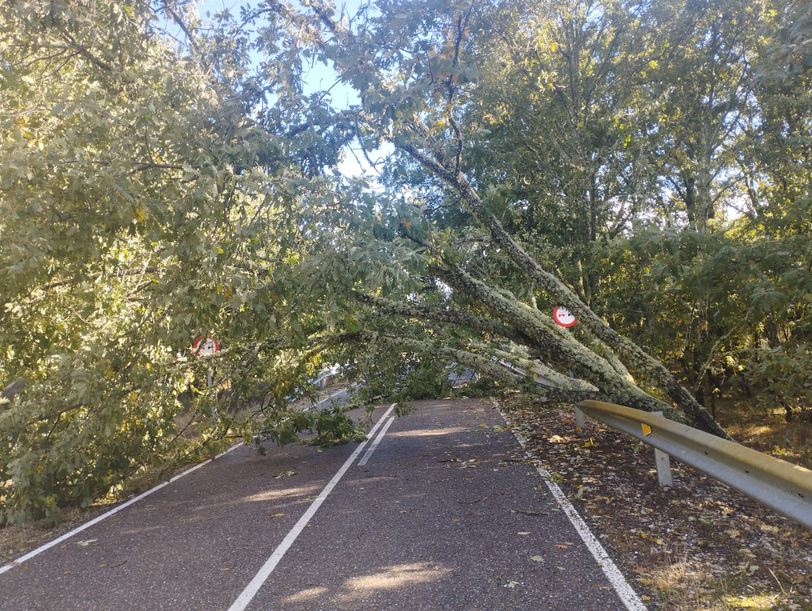  Carreteras de la provincia afectadas por el temporal Kirk