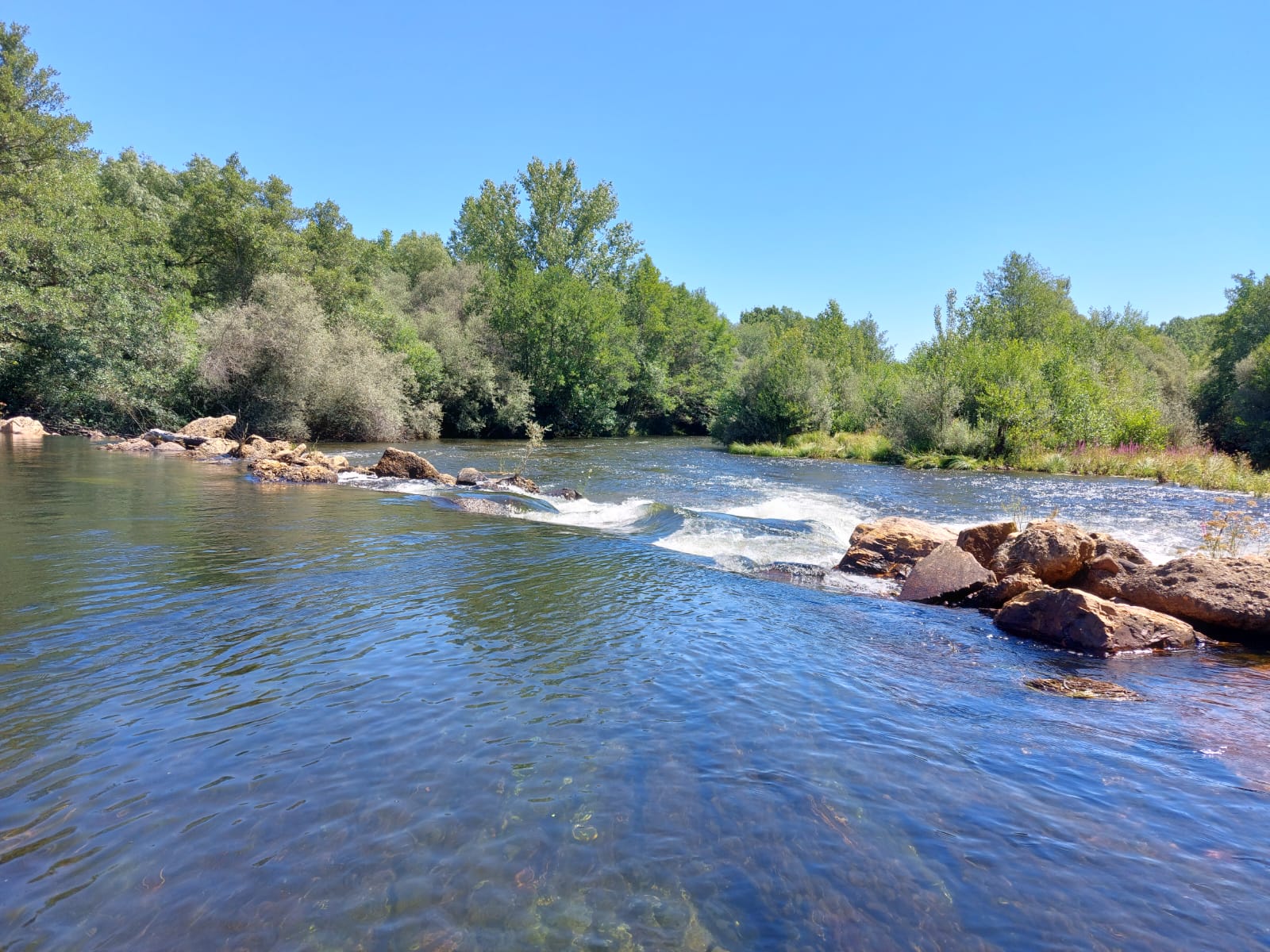 Imagen del río Tera a su paso por San Croya de Tera