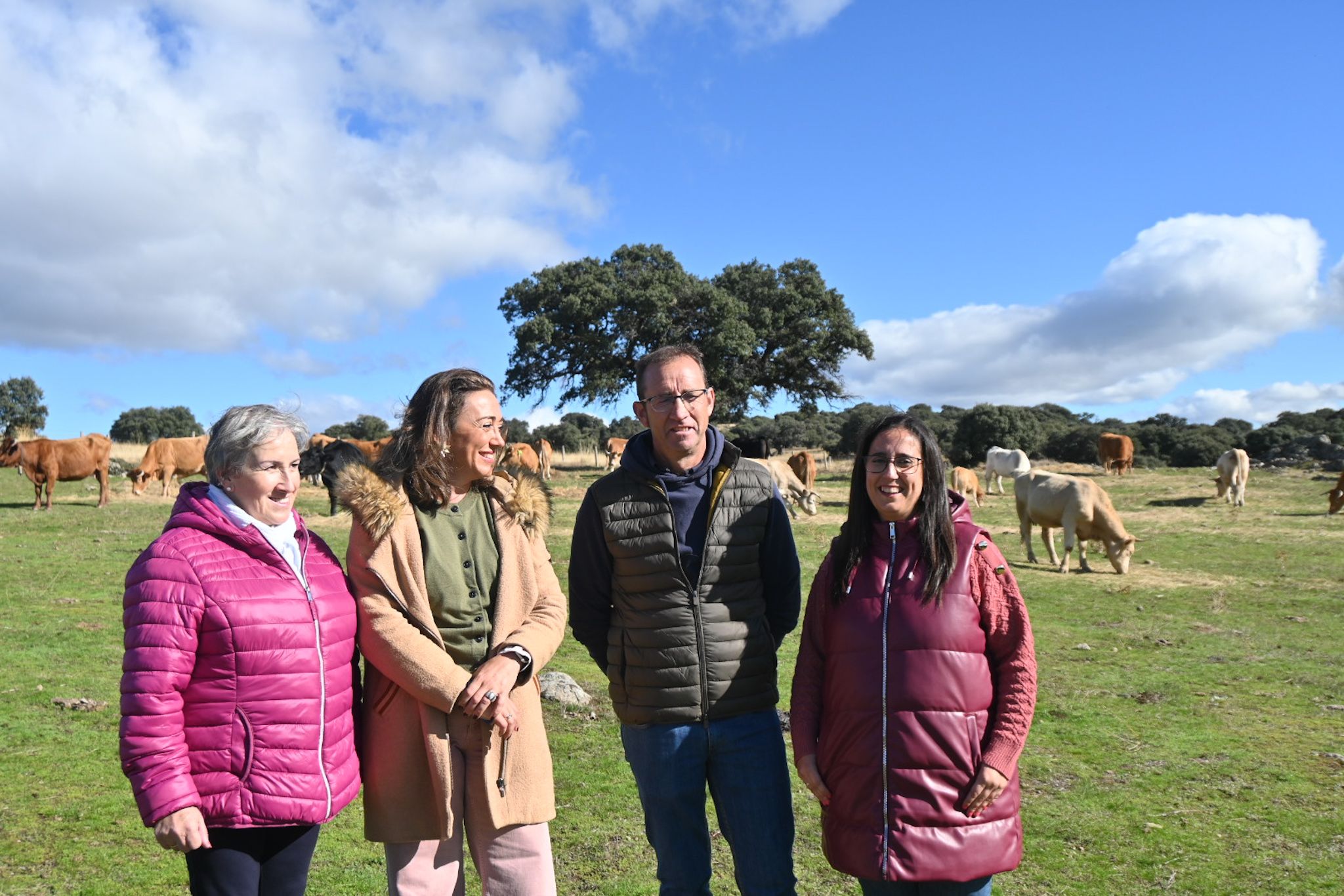 Presentación de la convocatoria de ayudas. Junta de Castilla y León