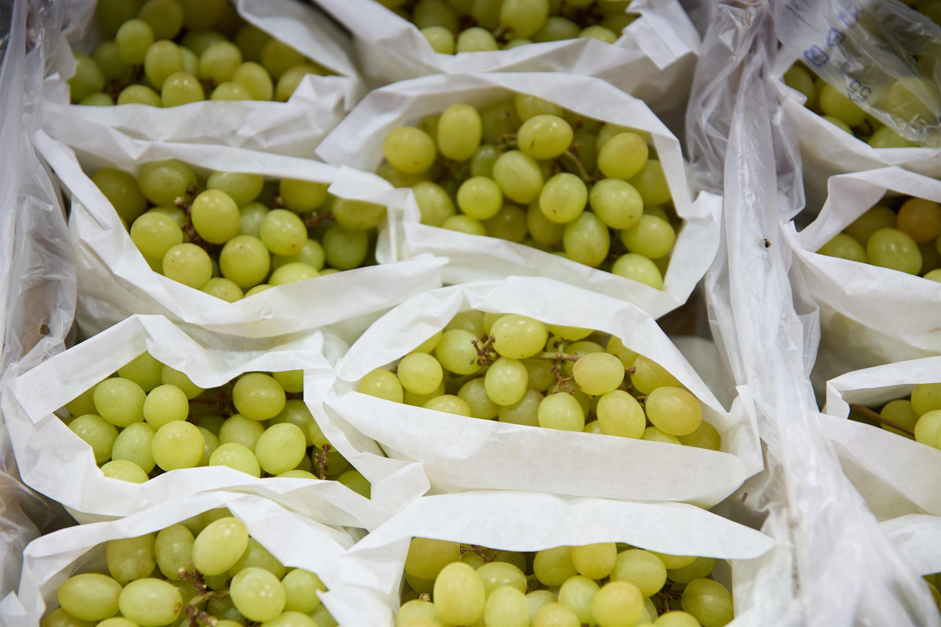 Racimos de uvas en un expositor de una frutería en un mercado.   Jesús Hellín   Europa Press   Archivo