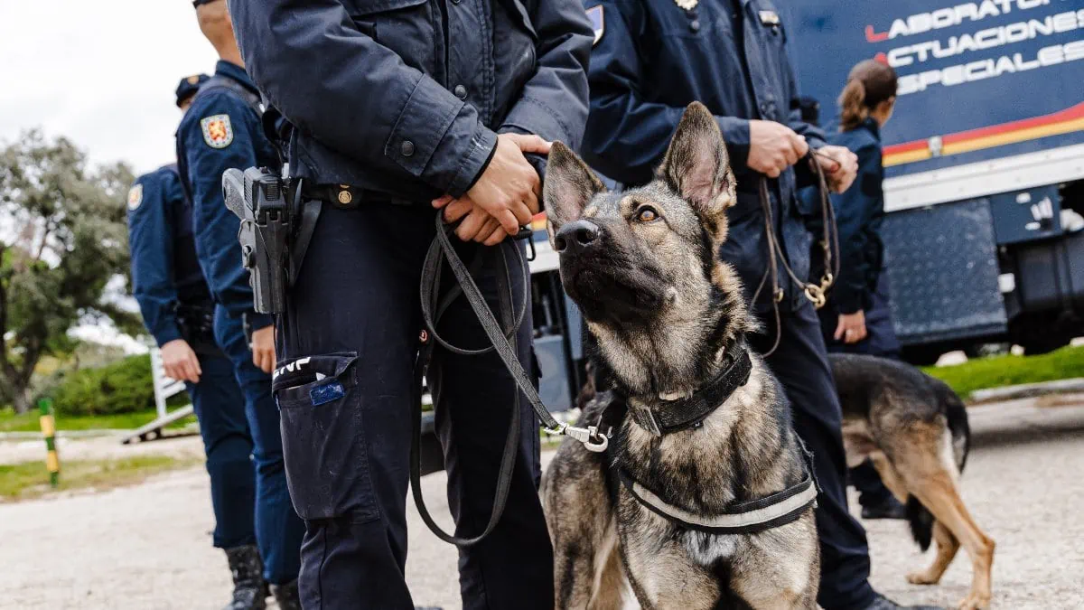 Un perro policía durante un simulacro el pasado octubre en Madrid. | Carlos Luján (Europa Press)