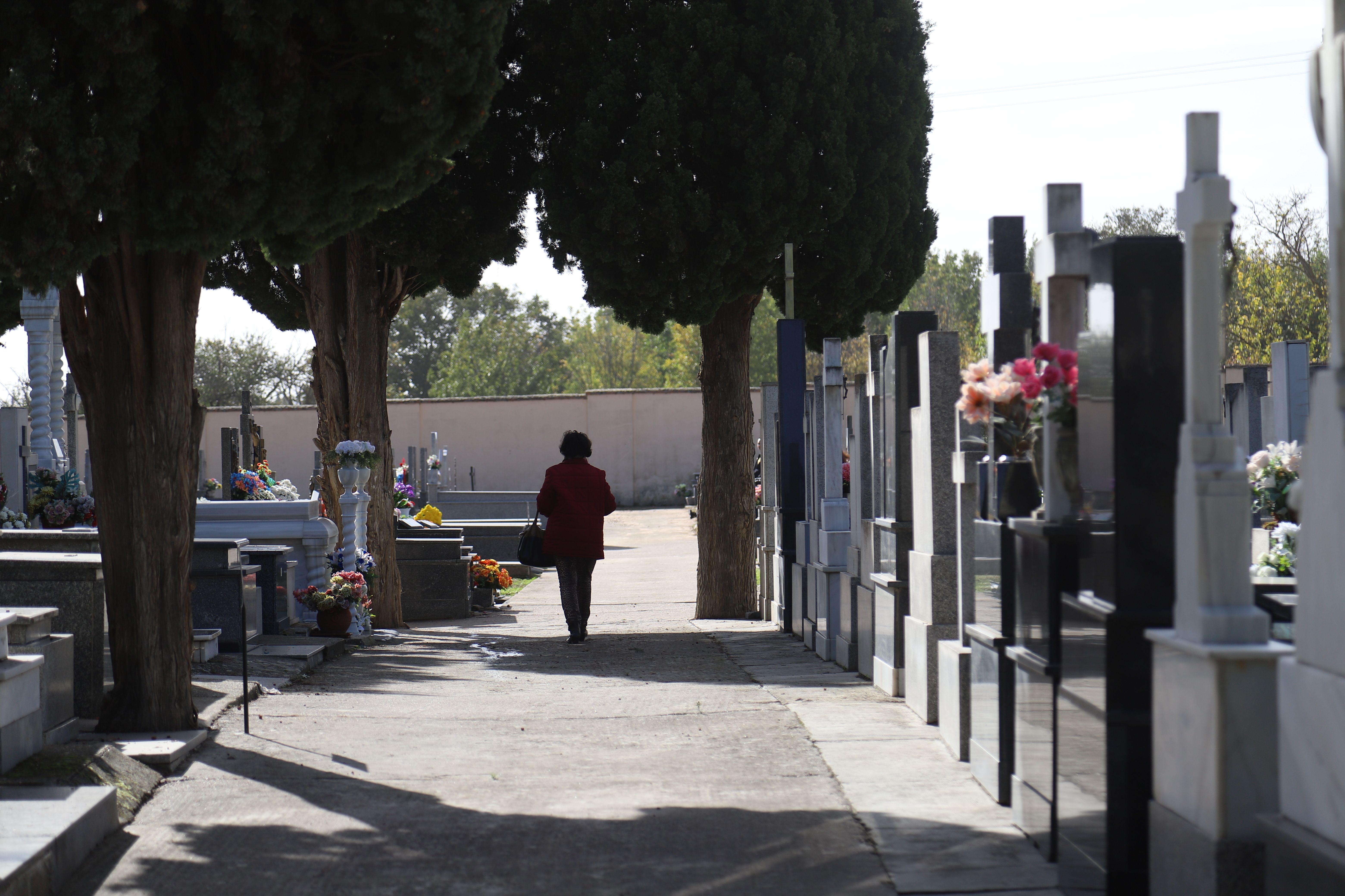 Cementerio San Atilano. Foto: María Lorenzo