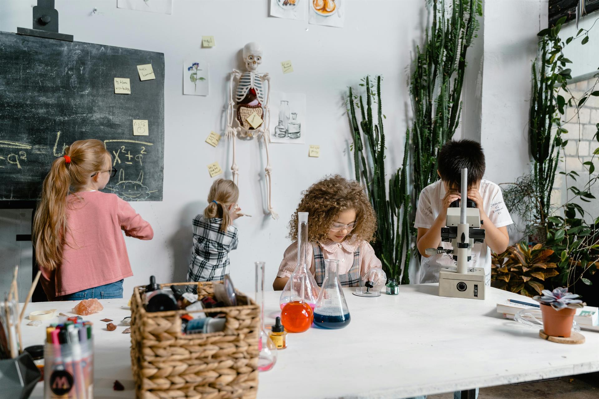 Semana de la Ciencia y la Innovación