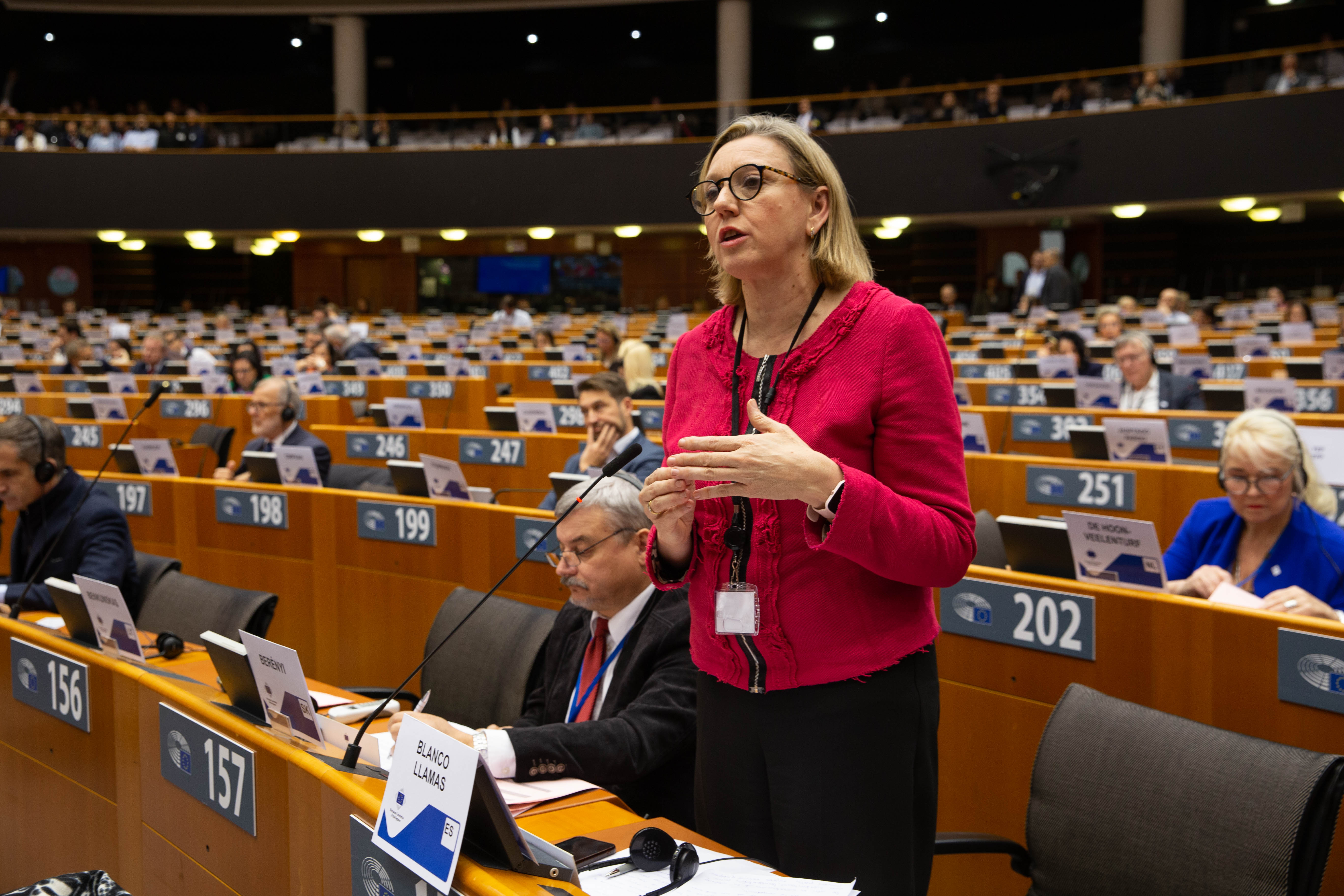 Isabel Blanco en el Pleno del Comité Europeo de las Regiones. Archivo