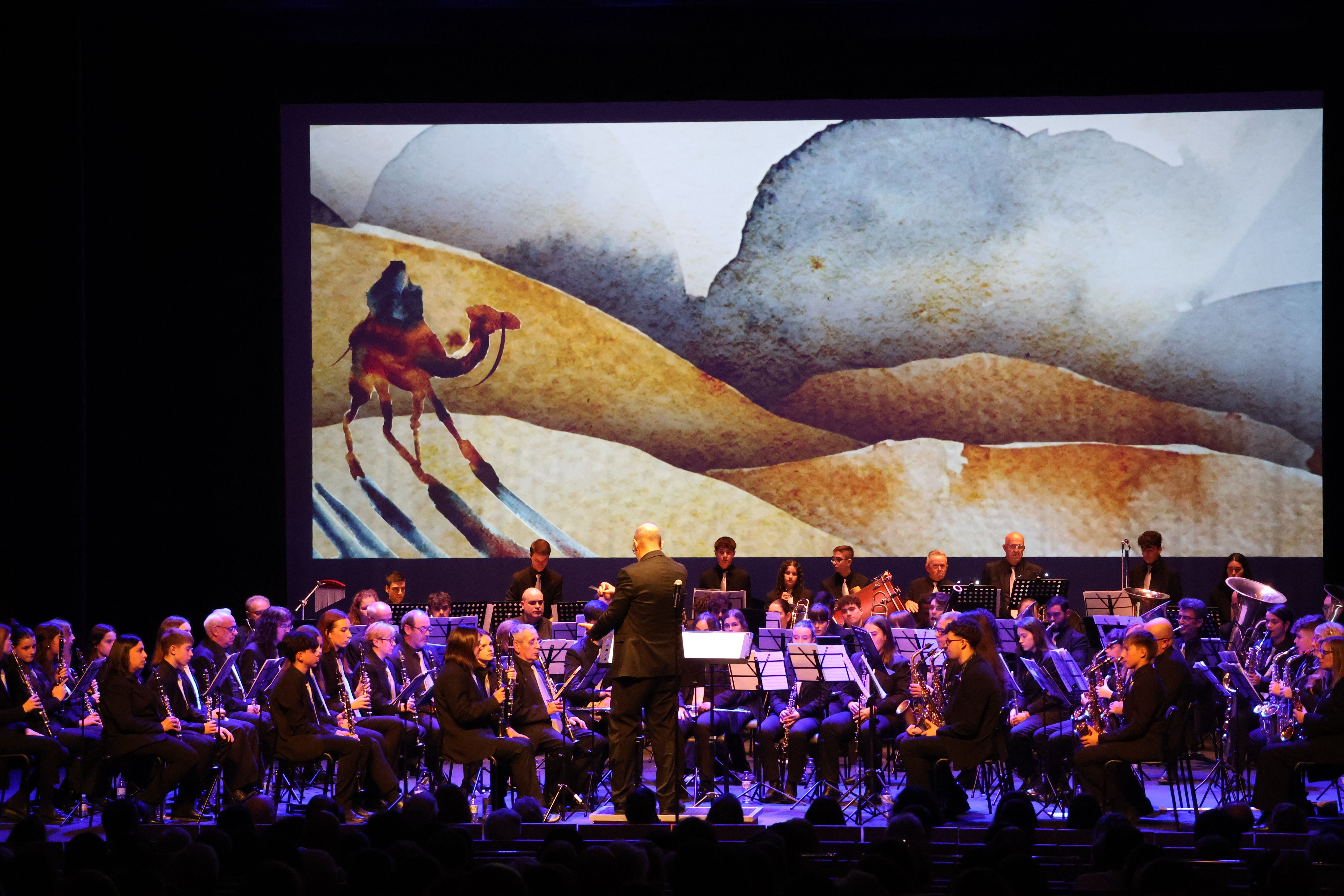 Concierto de Santa Cecilia 2024 (31)