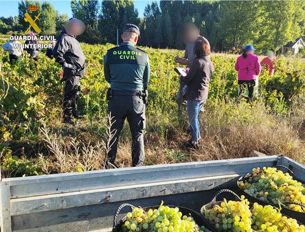 La Guardia Civil pone en marcha una operación contra la explotación laboral durante la campaña de la vendimia en León. ICAL