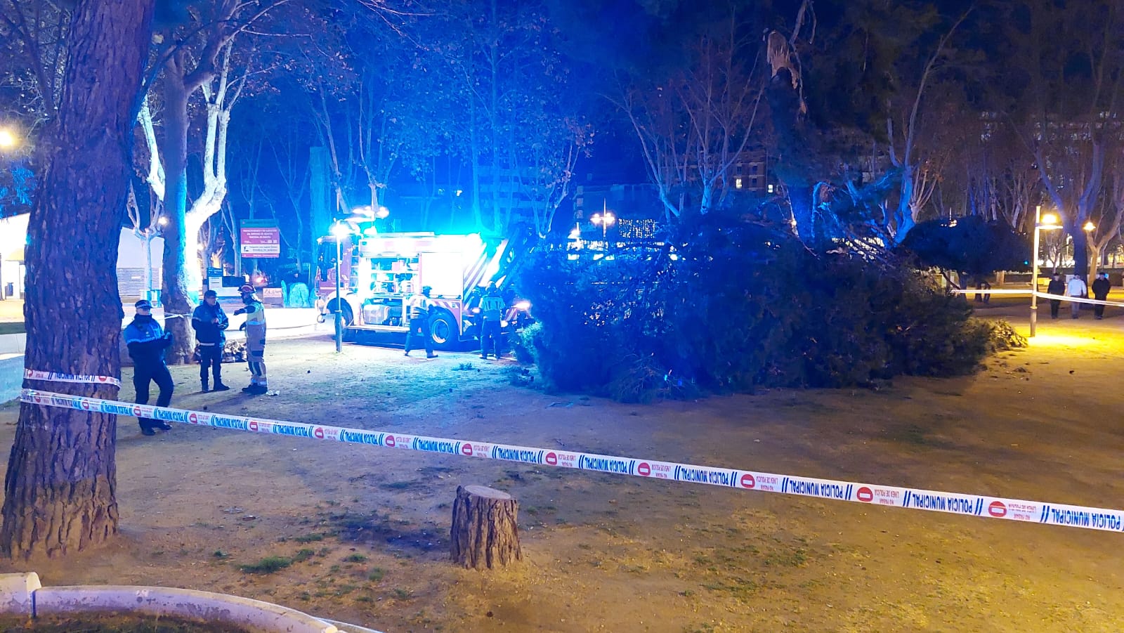 Caída de un gran árbol en la Marina