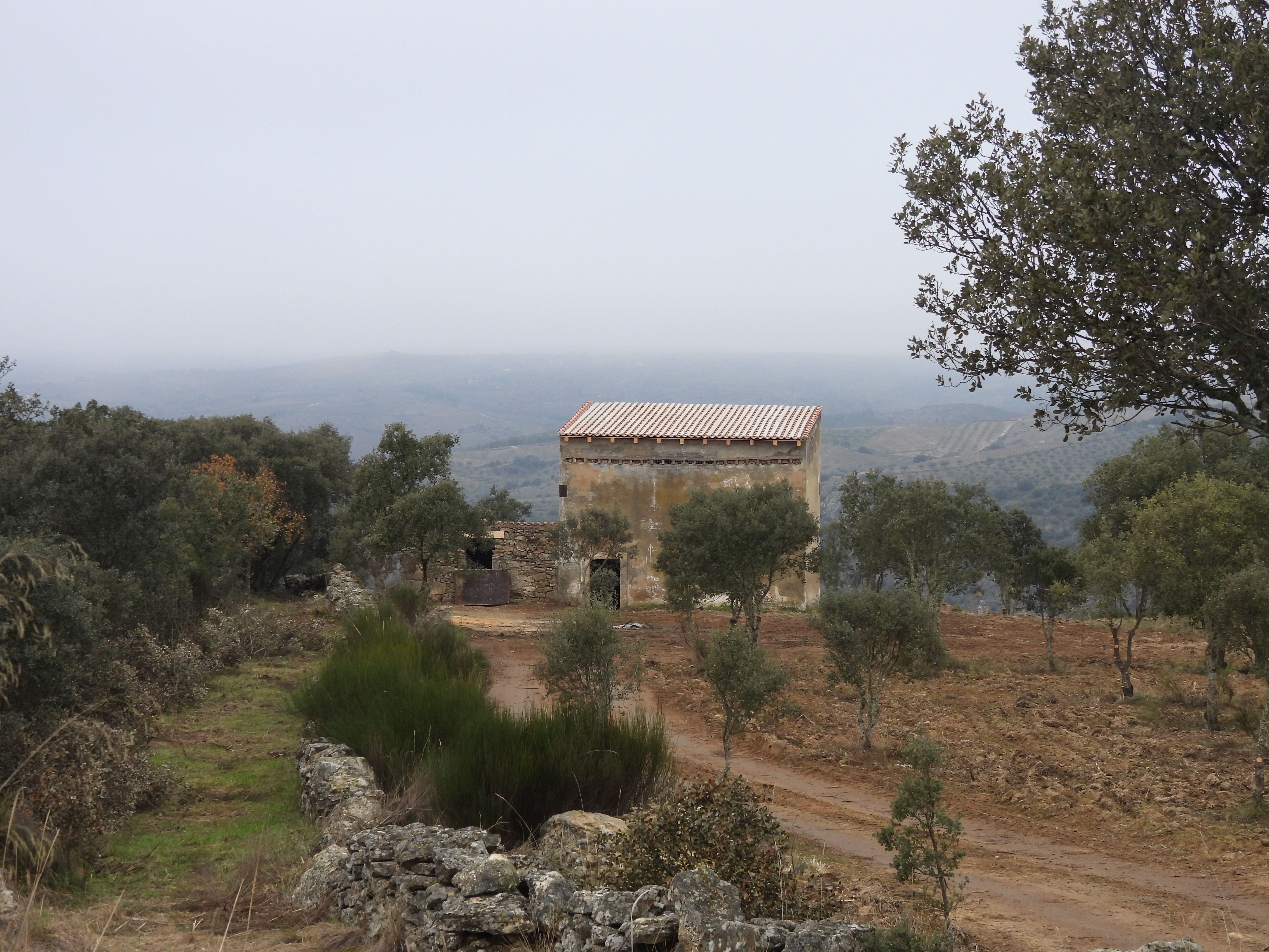 Fermoselle apuesta por un plan de recuperación de ecosistemas afectados por el incendio de 2017 