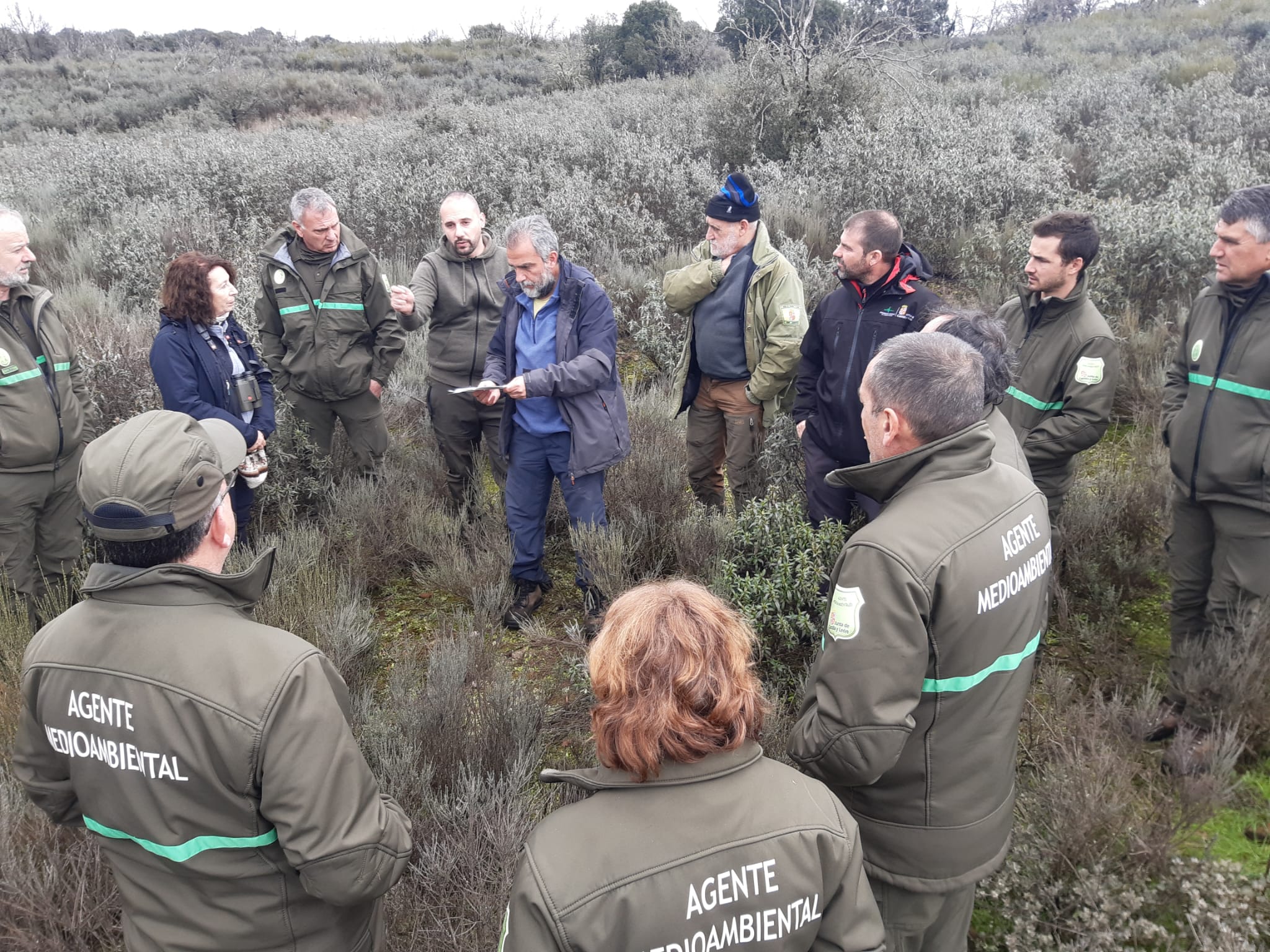 La Junta organiza en Zamora una jornada formativa para conocer algunas pautas de alimentación del lobo