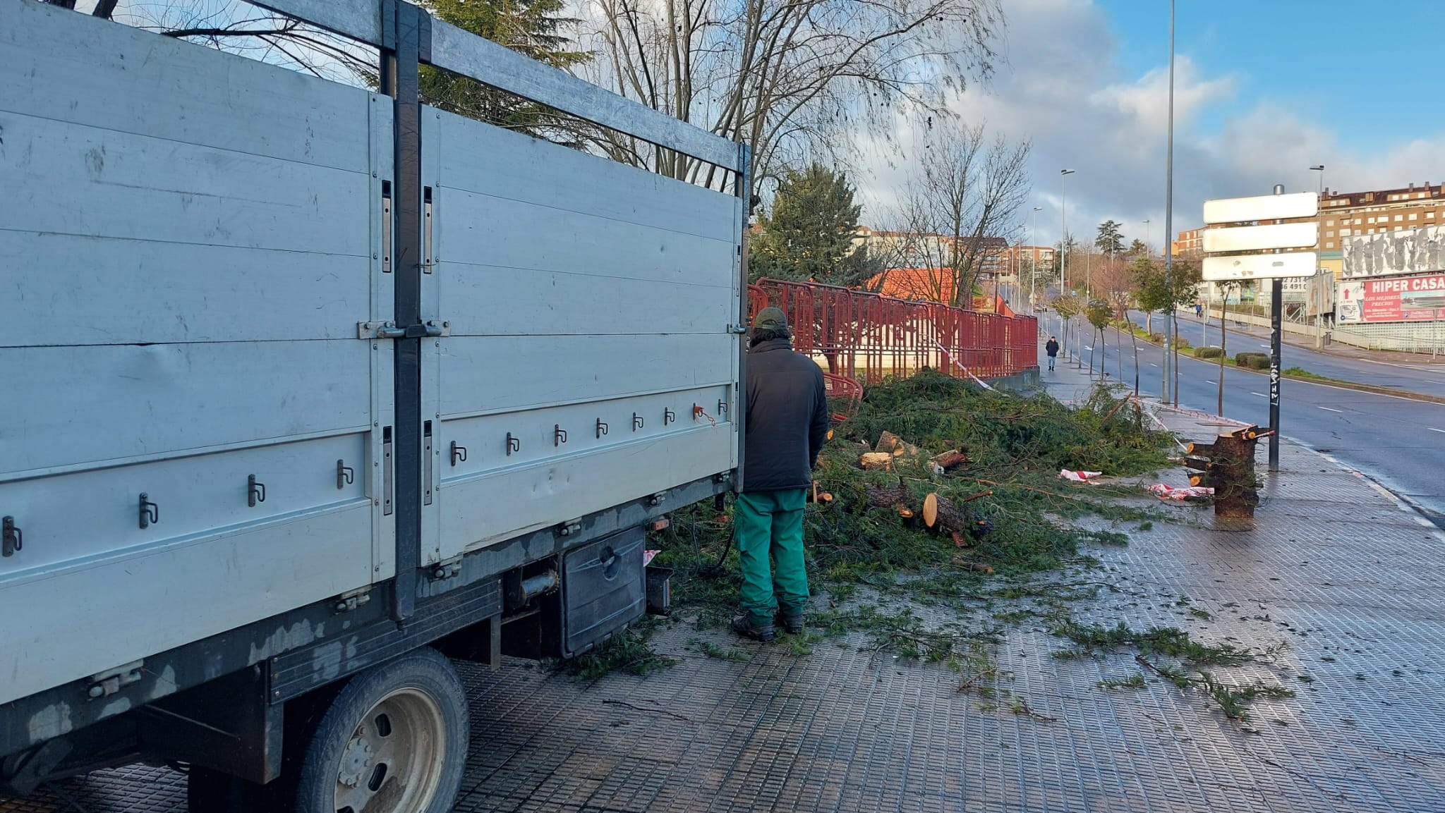 Trabajos de retirada del árbol caído.