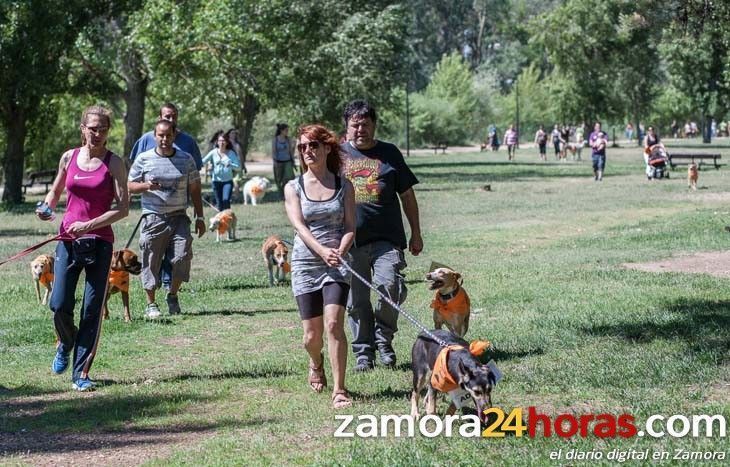  Guarido cubrirá las peticiones de los vecinos que piden más lugares para la suelta de perros 