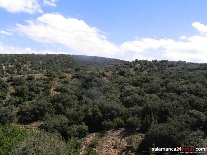  García Tejerina elogia una Ley "pensada para proteger la biodiversidad y prevenir incendios forestales" 