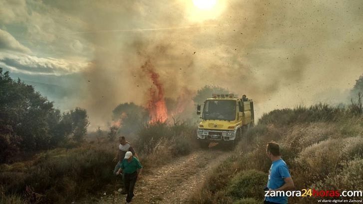  Zamora cierra la campaña de incendios con 187 fuegos y casi 900 hectáreas afectadas 