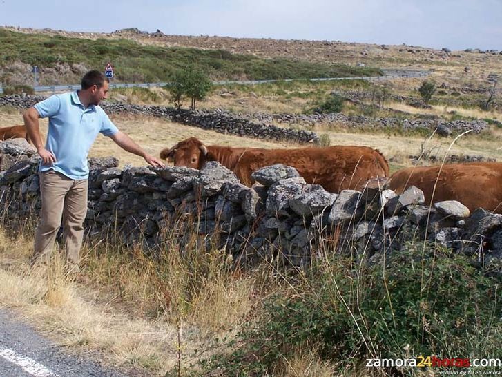  Exigen la publicación de la convocatoria de 2014 de las ayudas a incorporación de jóvenes al sector agrario 