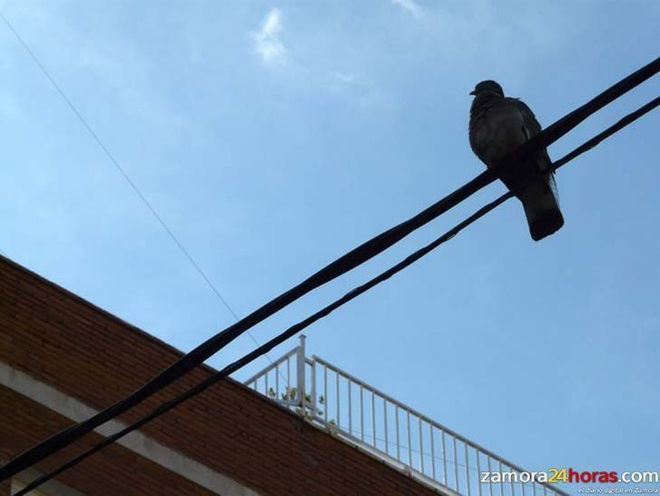  El sábado se presenta con cielos nubosos y temperaturas mínimas en ligero descenso 